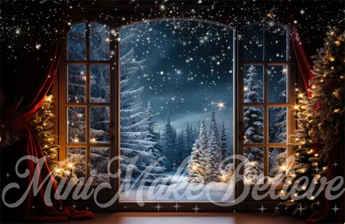 Night Window