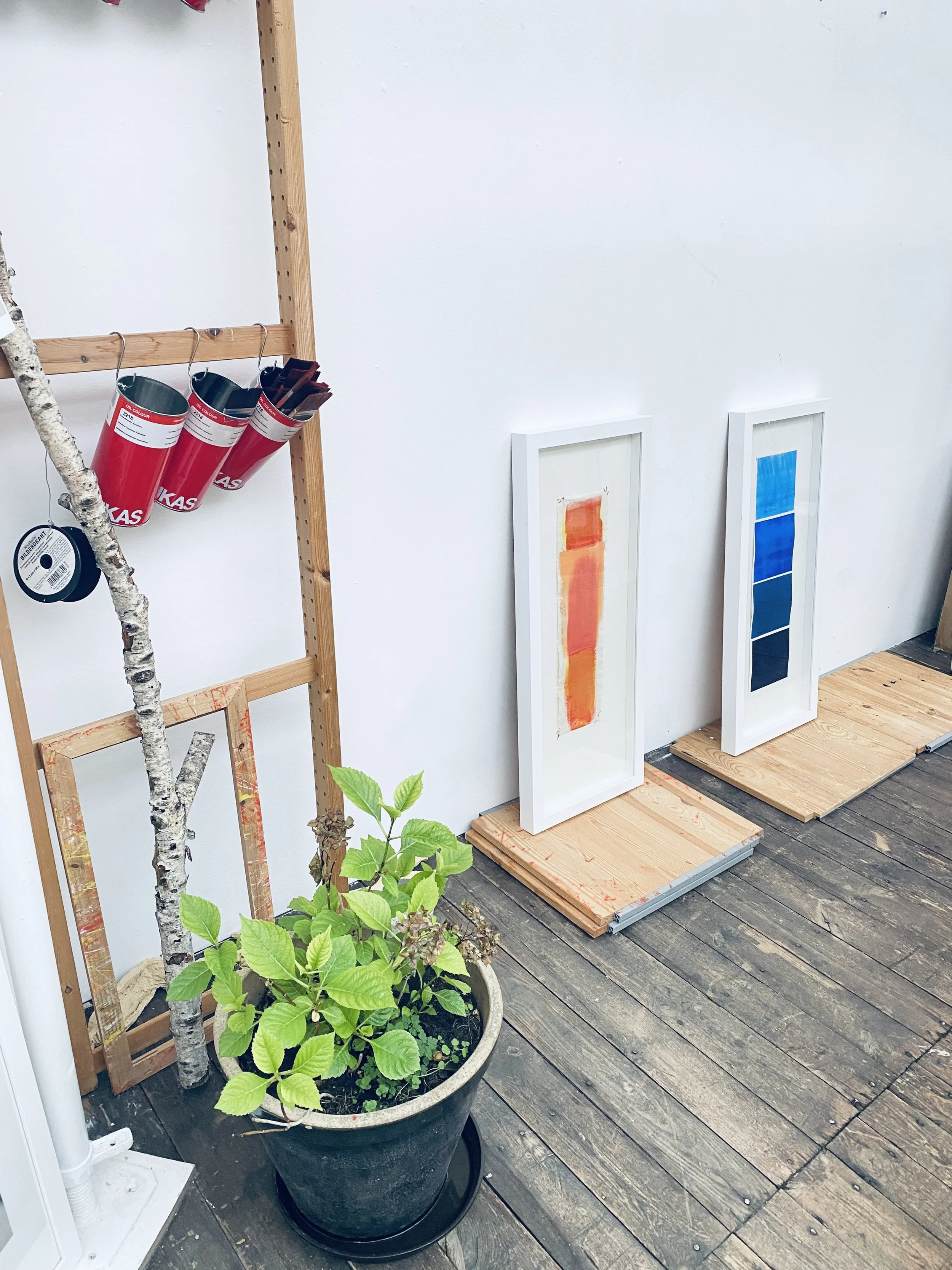 A large black pot with green leafy plant on wooden deck, with framed abstract art leaning against white wall and hanging cups on wooden shelving.