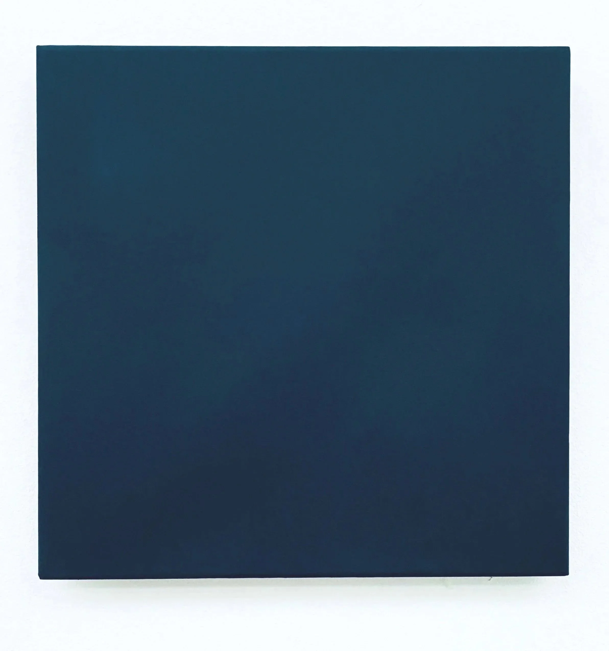 obviously not black, oil on canvas, 40x40x4,5cm, 2026