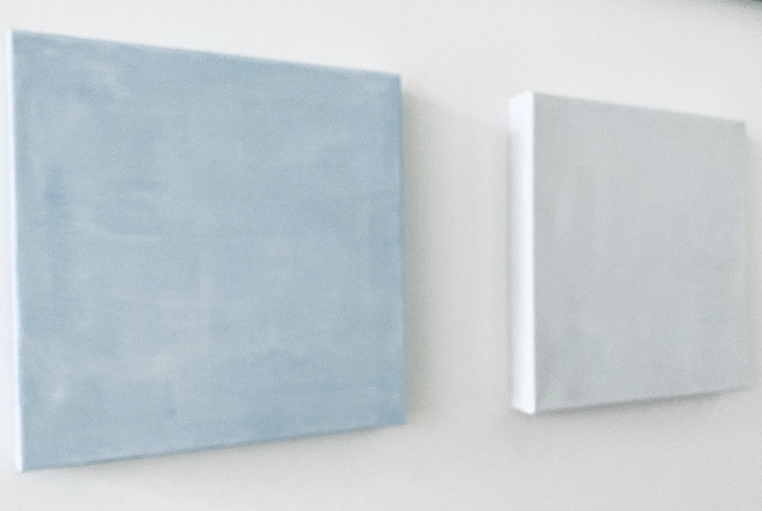 Close-up of two rectangular objects, one blue and one white, positioned side by side on a plain white surface, with a blurred white background.