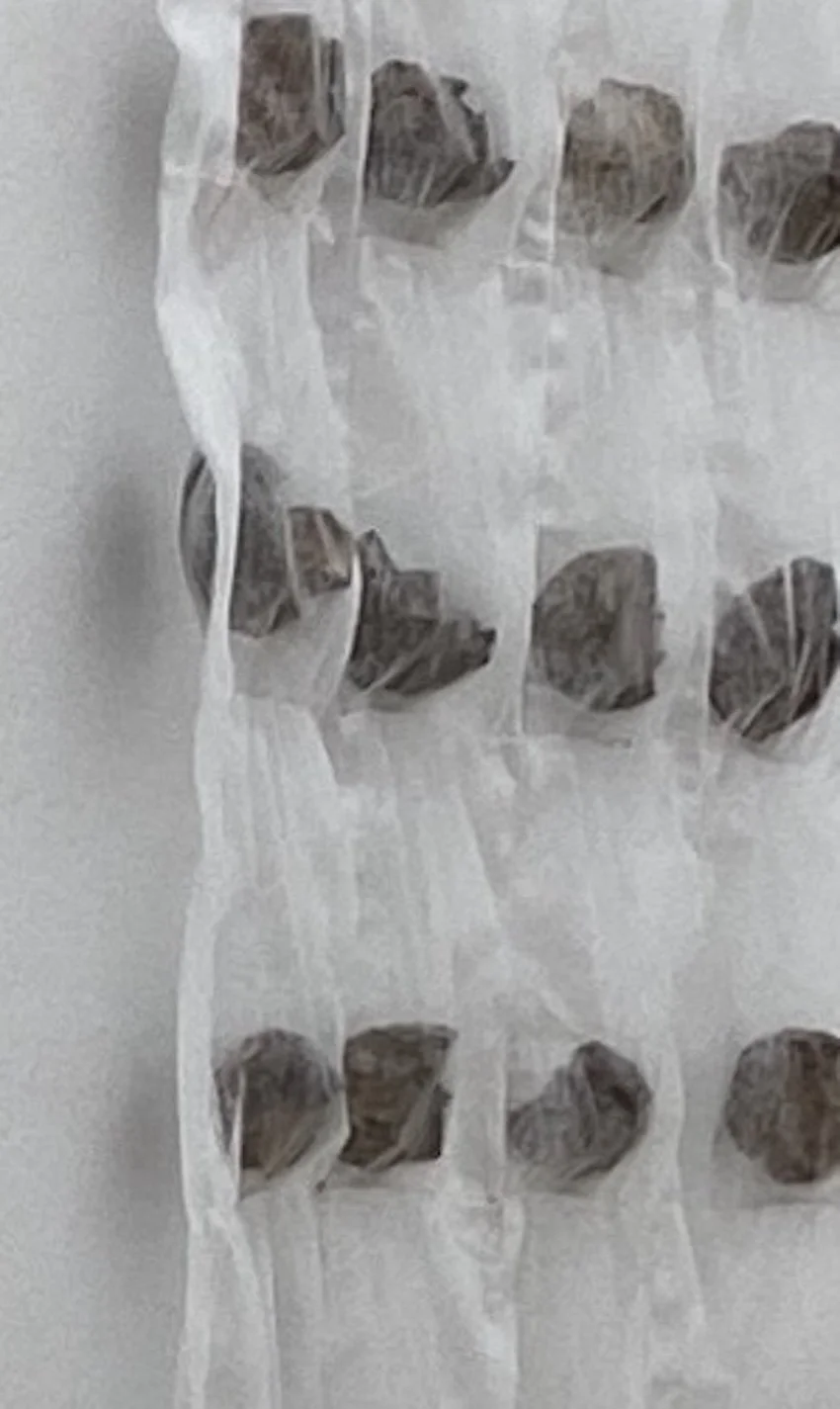 Reis, Elke, Detail a veil of memories.jpeg