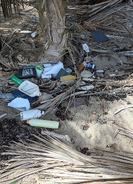 Environment_Before