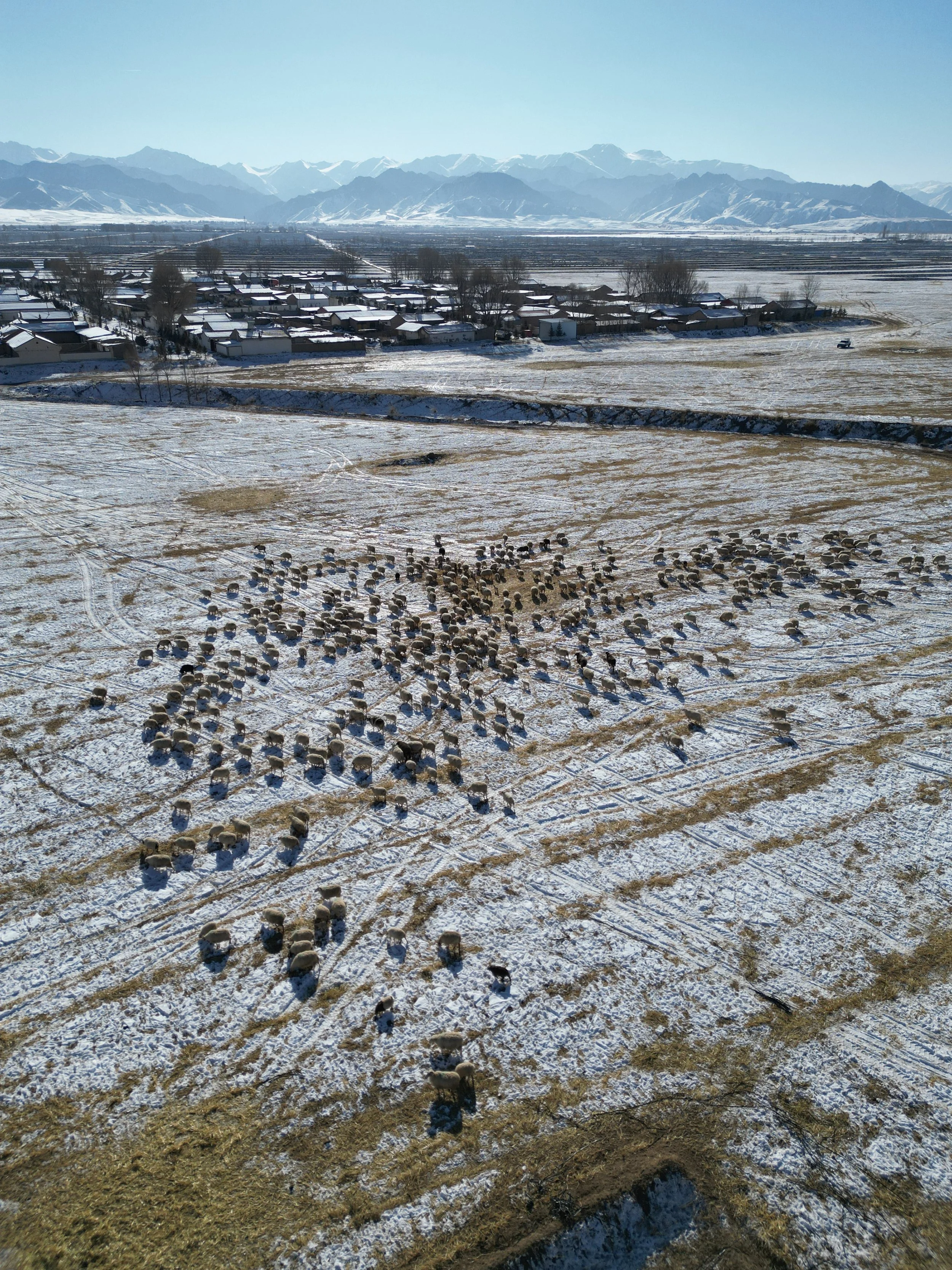 dji_fly_20241204_142010_291_1733926382242_photo.JPG