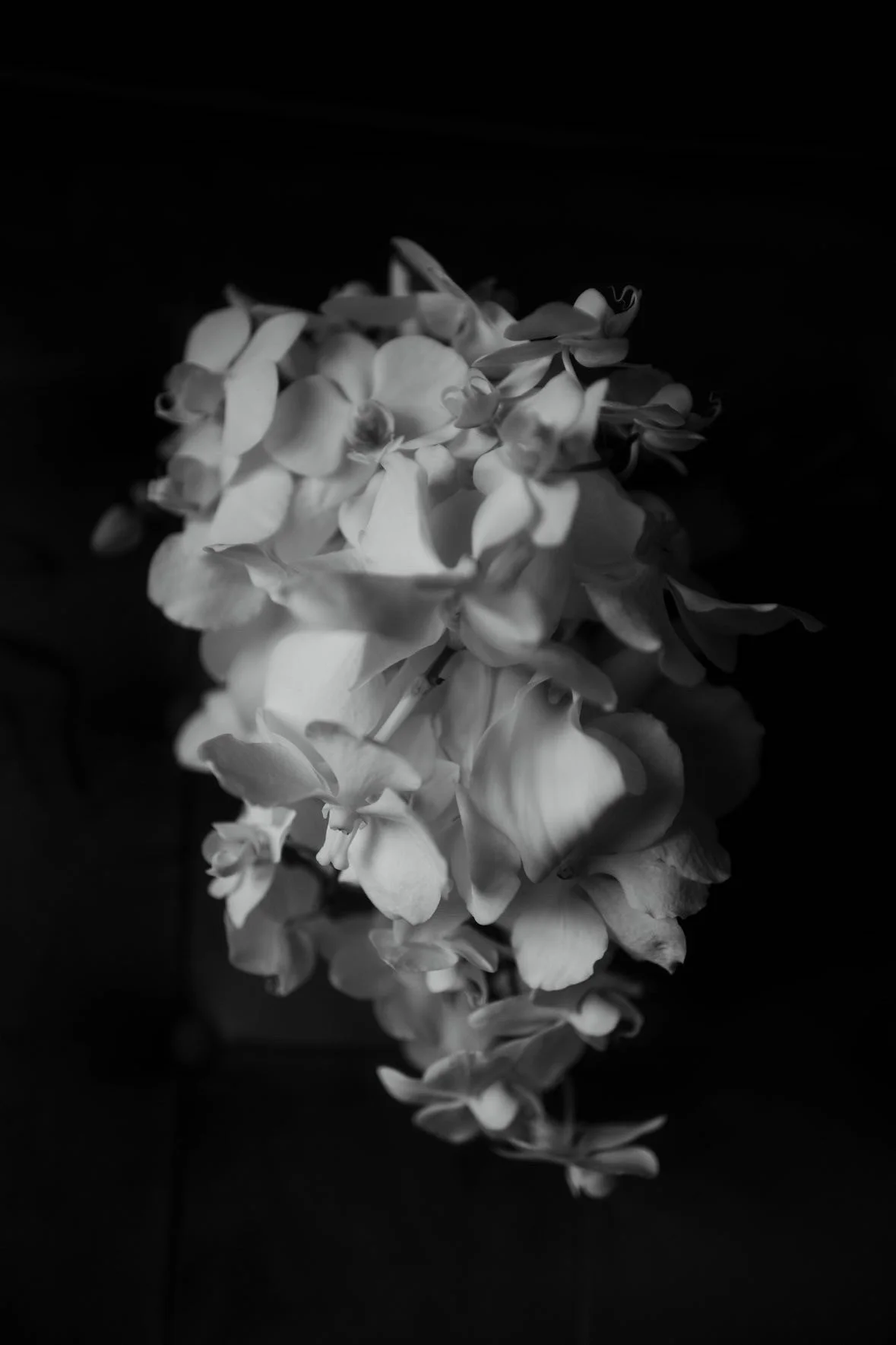 07C55A7B-E7A3-4A96-833F-C1C6195C4124.JPG