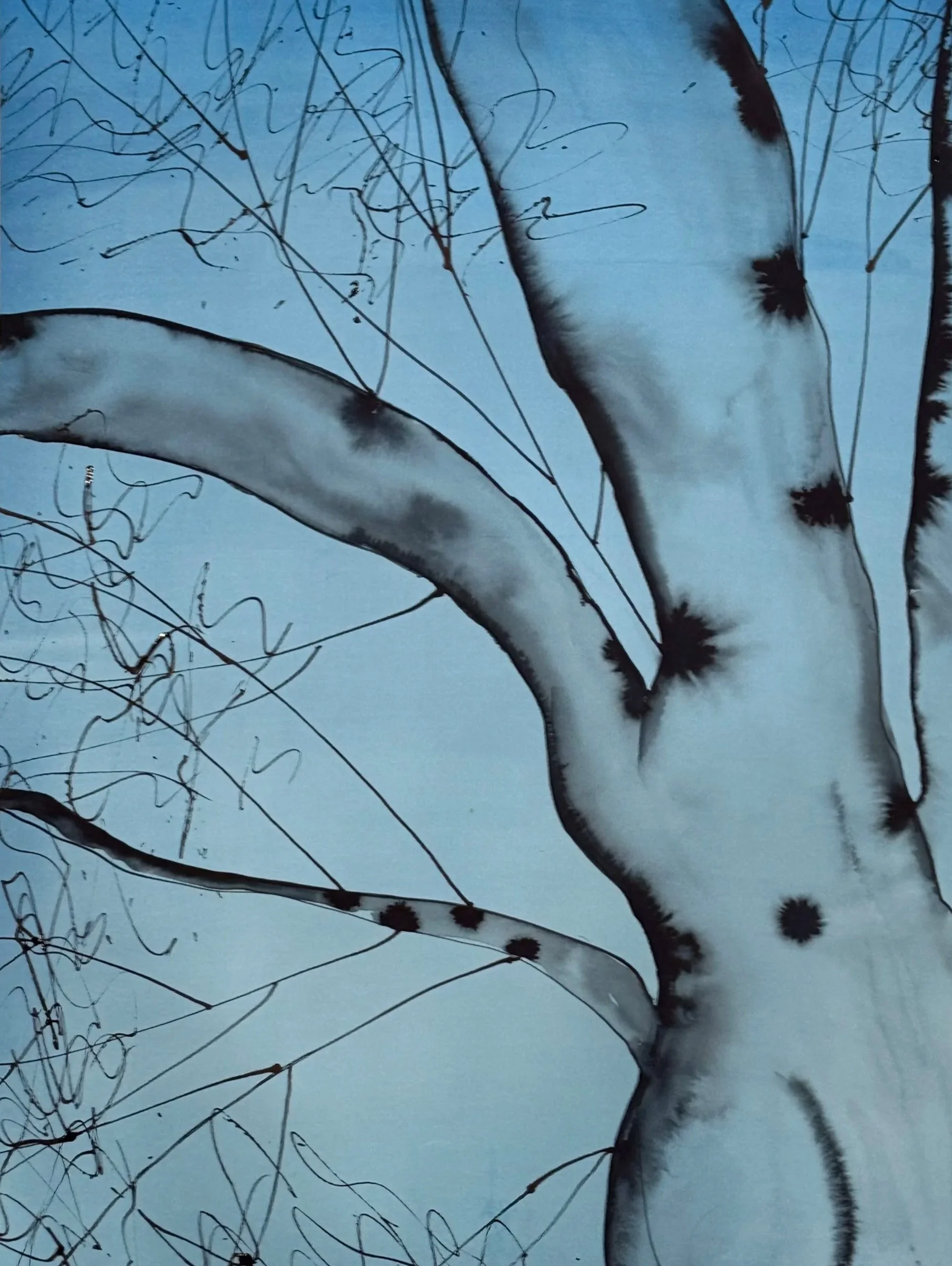 Tree_1.jpg