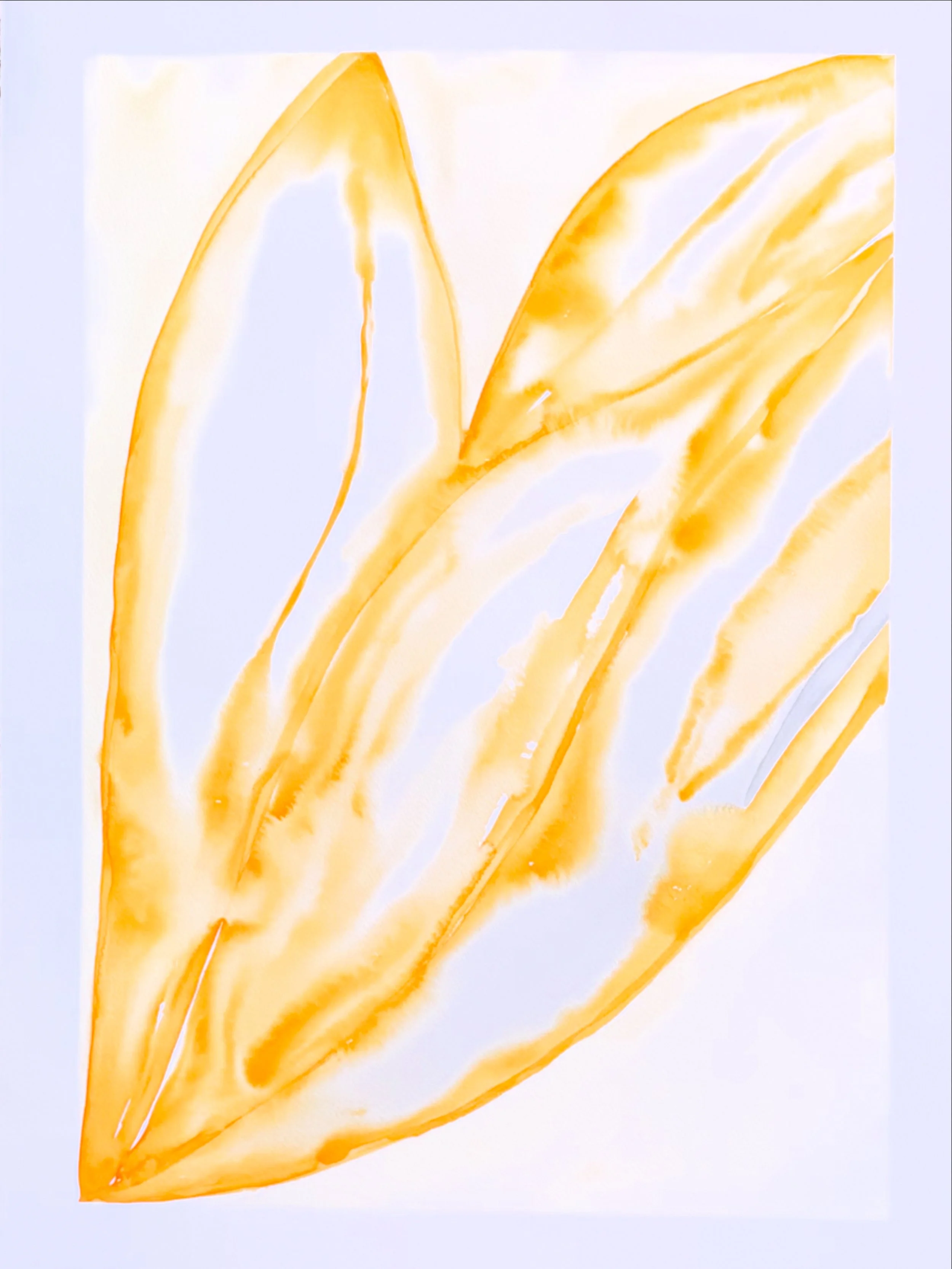 485C00F9-9E5D-4104-B897-0F64FA75B707.jpeg