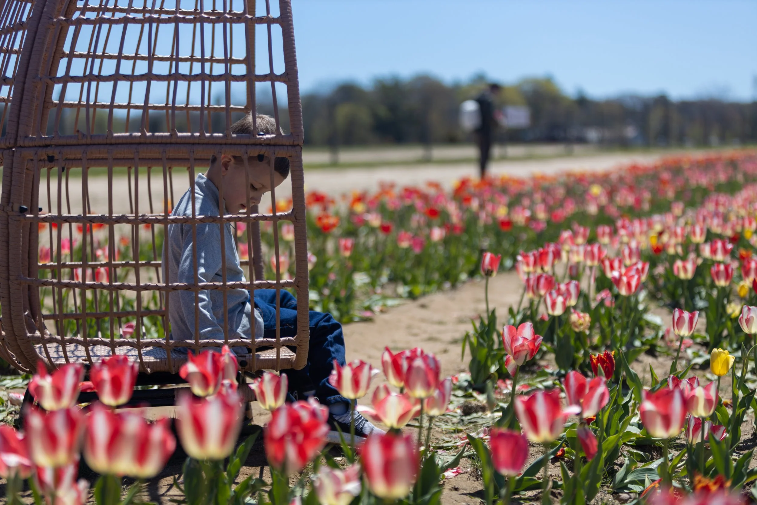 5D5A1188.jpeg