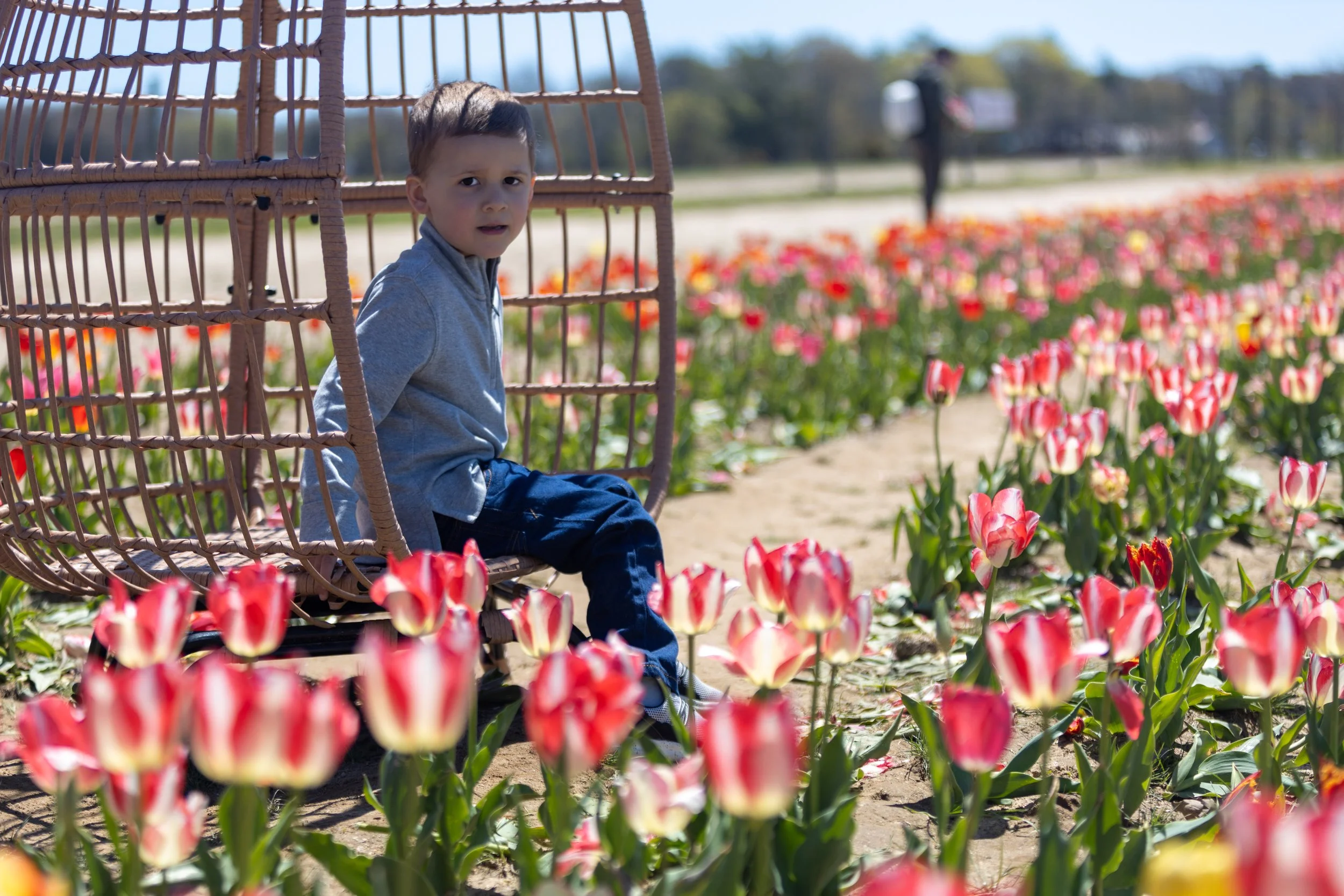 A young boy with short dark hair and wearing a grey hoodie and blue jeans, sits on a rattan swing with a flower garden of pink, white, and red tulips in the background. An adult person is visible in the distance in the blurred background.