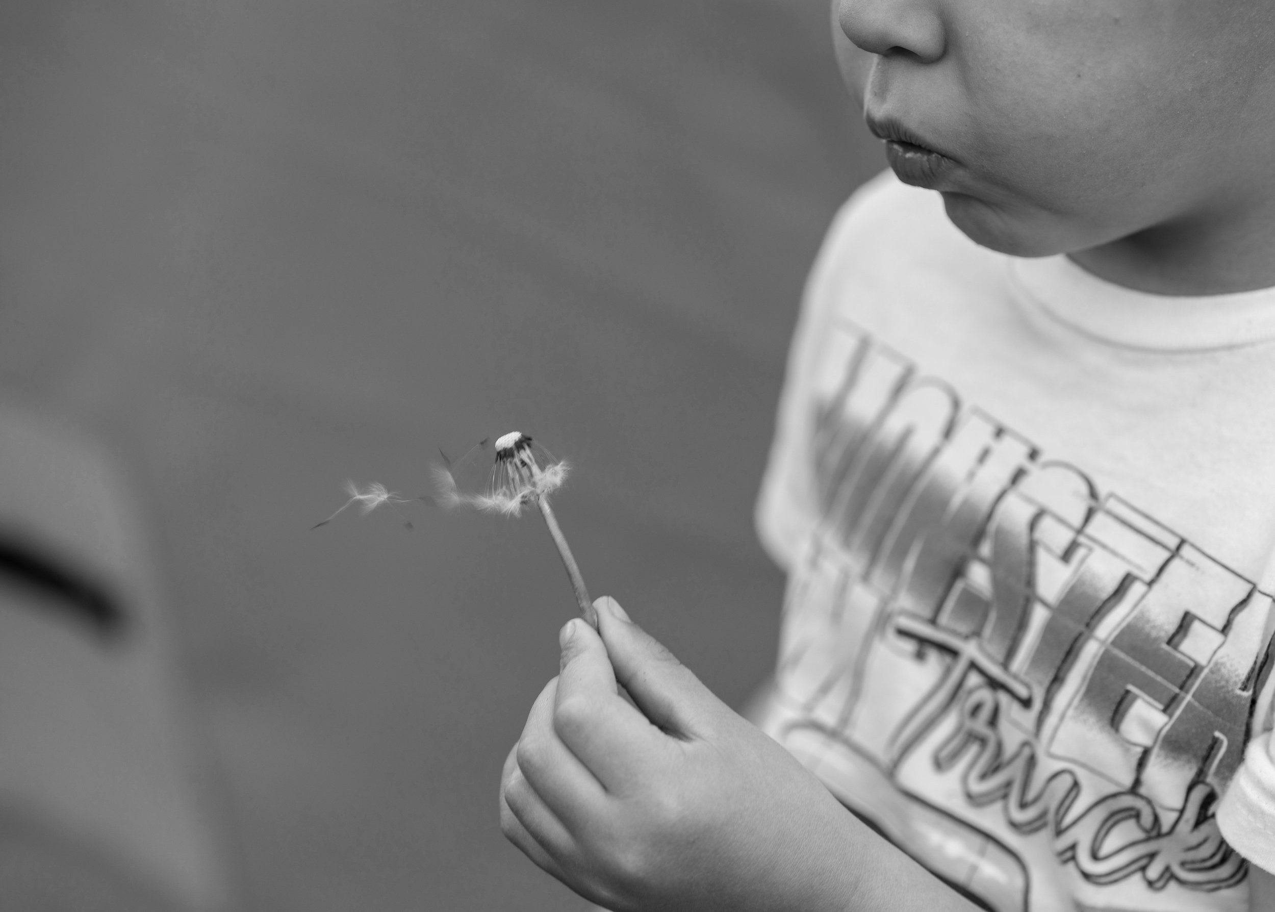 A black and white close-up image of a child's face and hand holding a dandelion, with the child's lips pursed as if blowing on the dandelion.