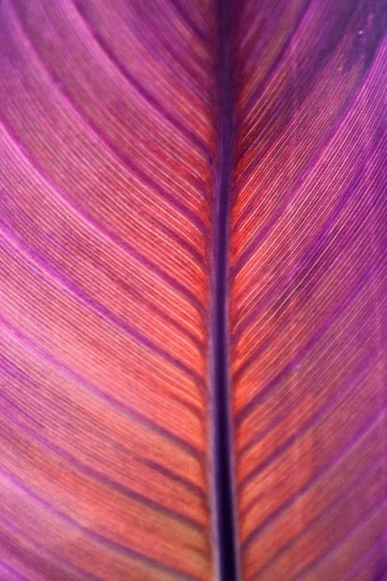 natural color.jpg