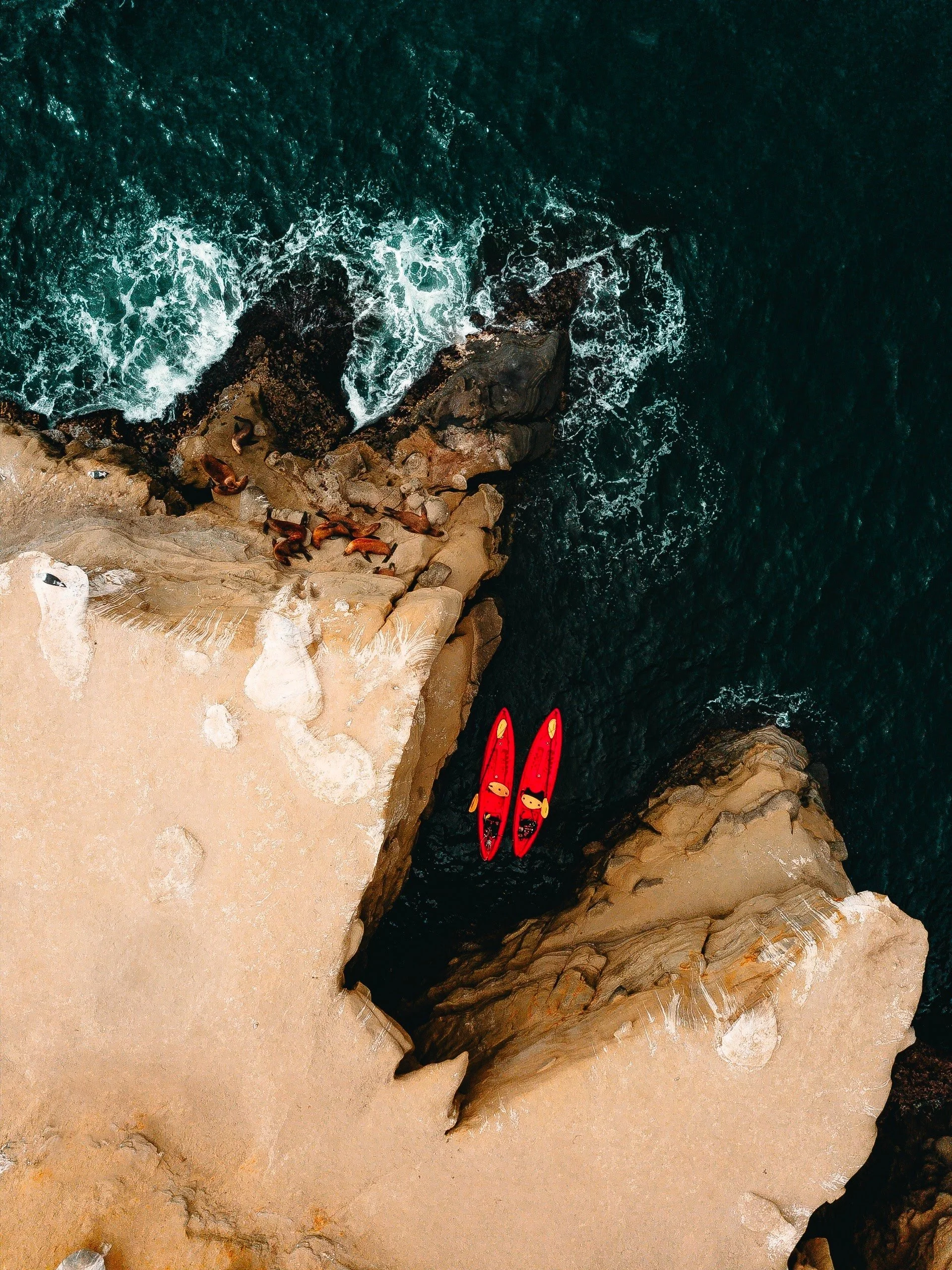 alex-perez-z-Cr0WZWUCE-unsplash.jpg