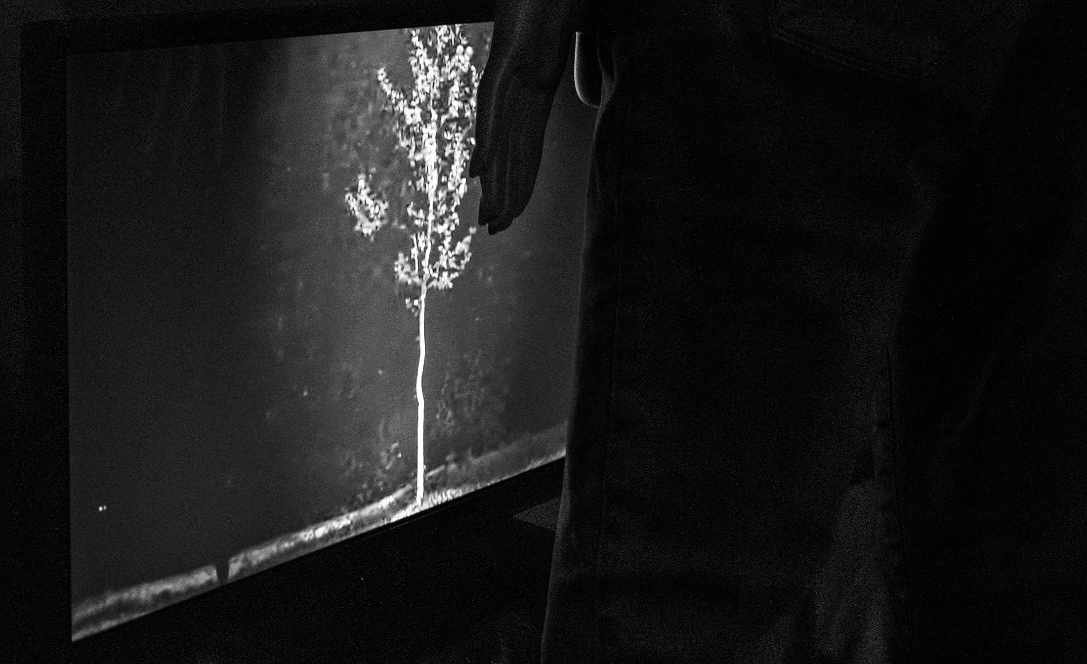 Fotografia digital em preto e branco, integrante da Série Digital 1, de Sandra Unglert Fernandes, mostrando uma pessoa diante de um monitor com a imagem de uma árvore iluminada.