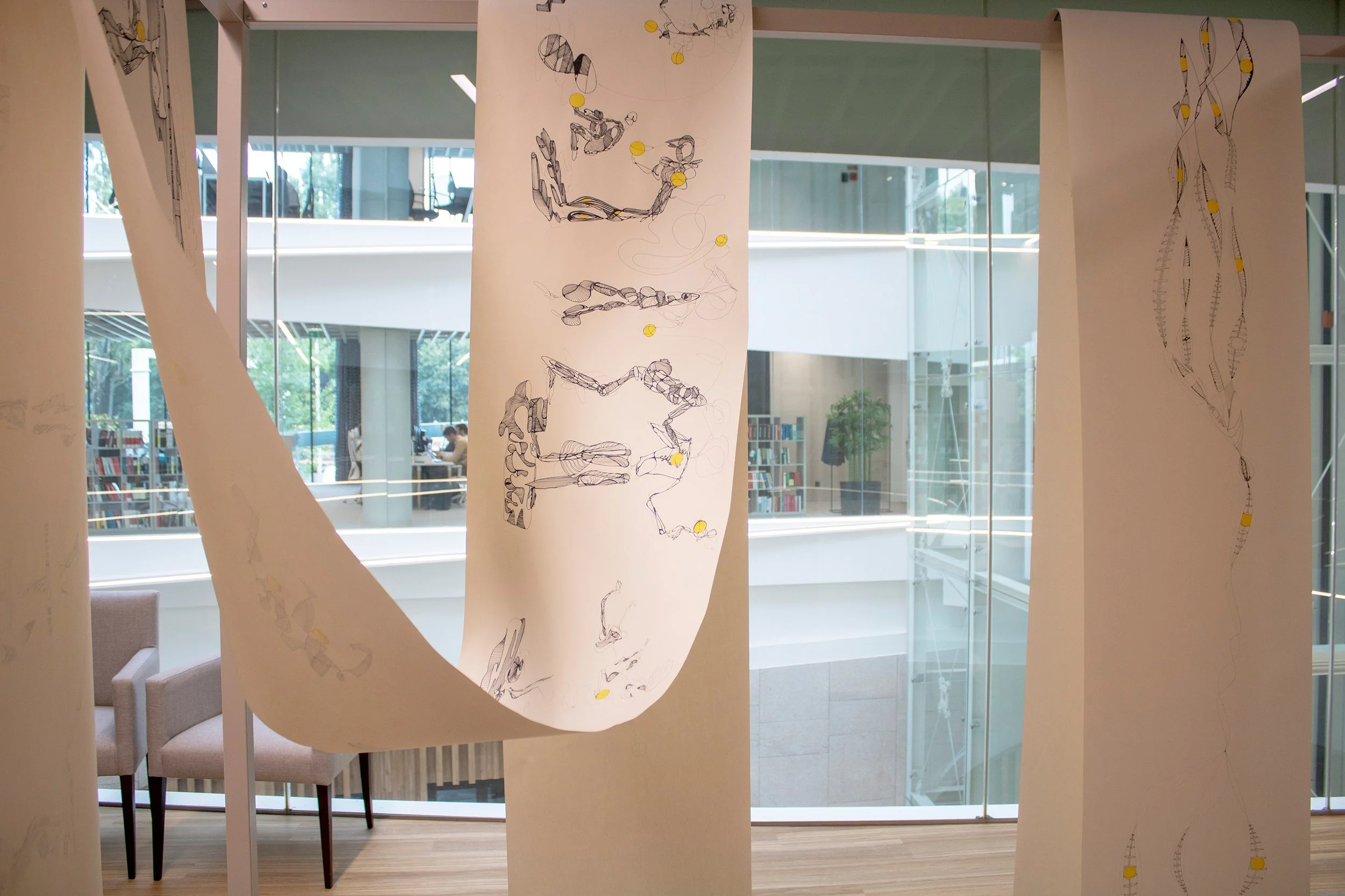 Vista da exposição Humanas Conexões, de Sandra Unglert Fernandes, mostrando um dos quatro rolos de desenho suspenso no espaço expositivo.