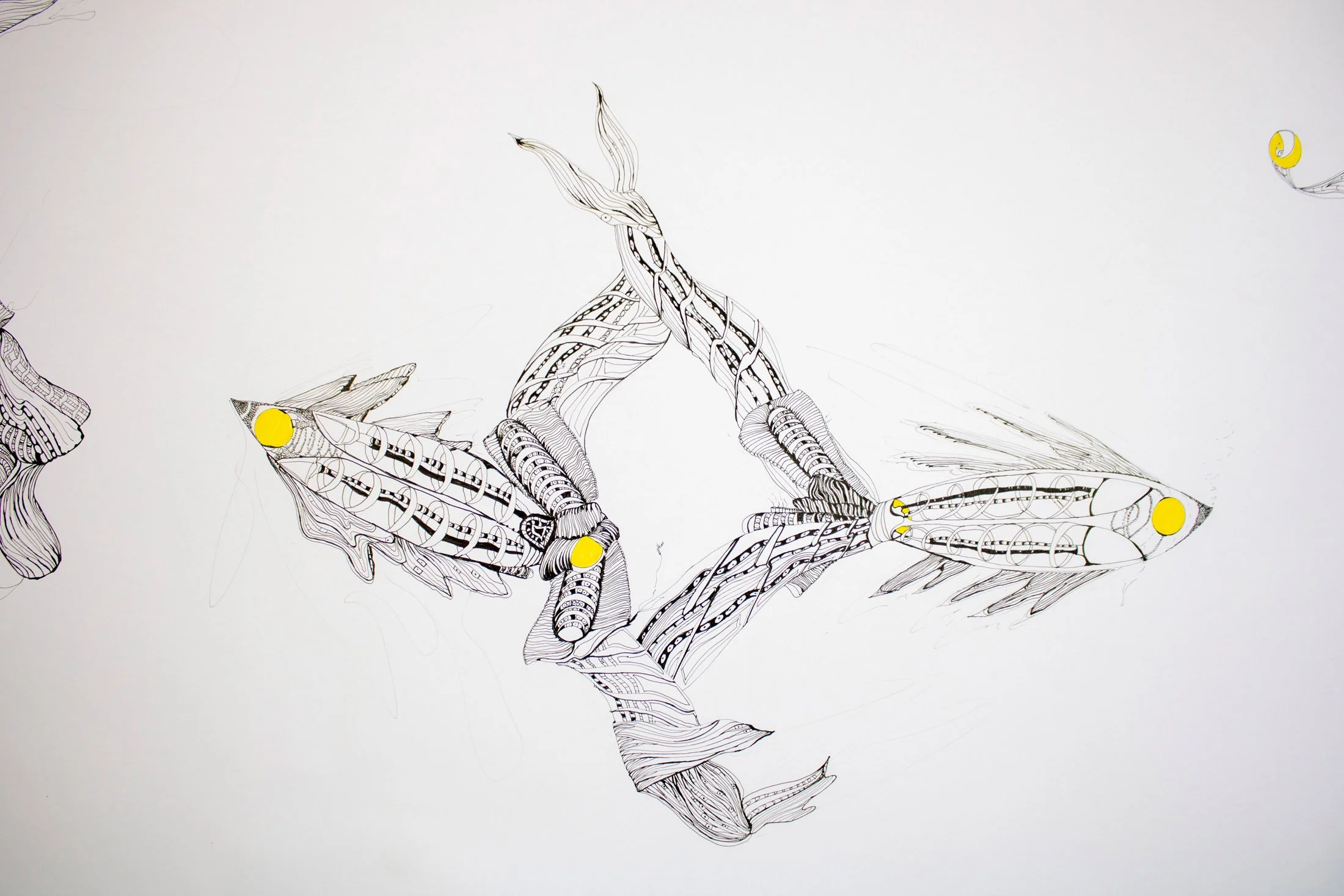Desenho em tinta sobre papel da série Remotas Derivações, de Sandra Unglert Fernandes, com elementos orgânicos e intervenções em amarelo. Aqui, duas figuras se entrelaçam e m suas trajetórias que continua ao longo do pergaminho (rolo de papel).