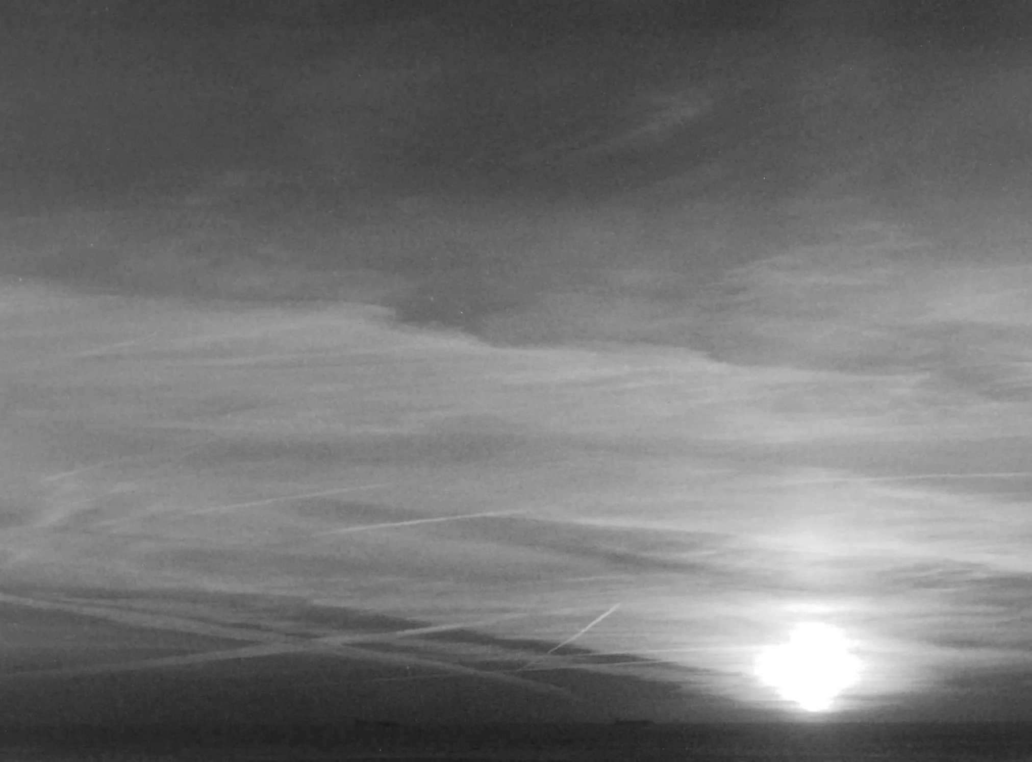 Série 1 / Series 1