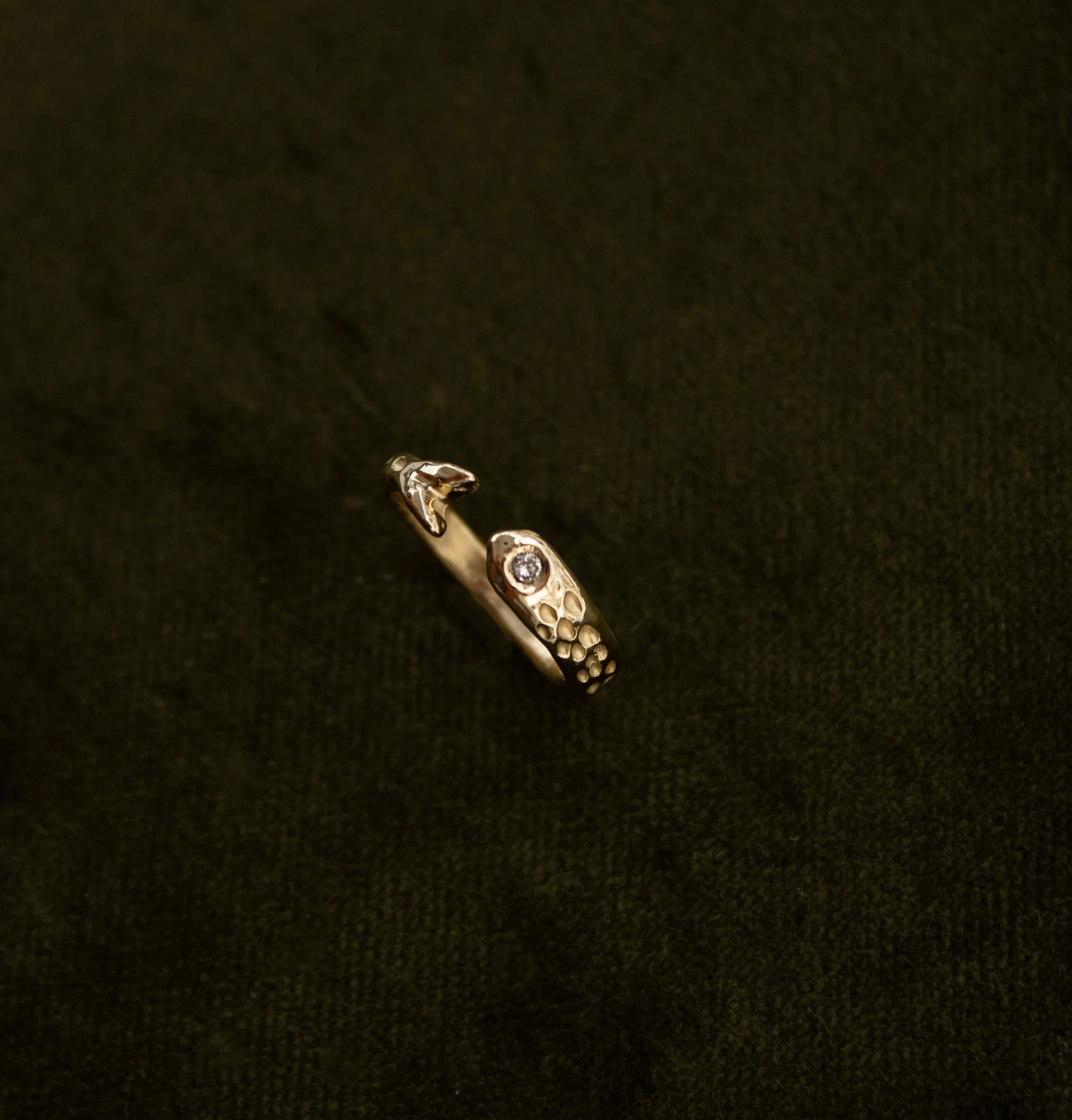 Fish Ring, #1