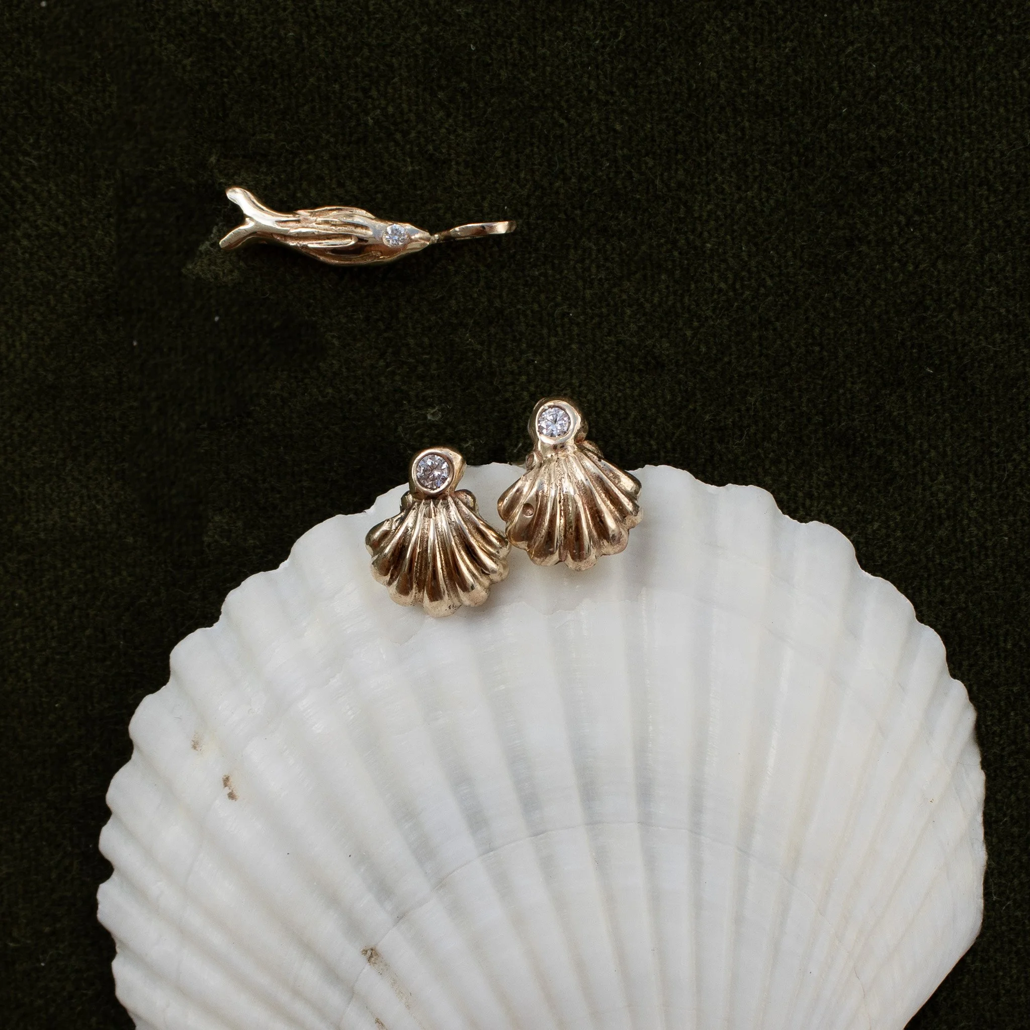 Scallop Seashell Studs, XL