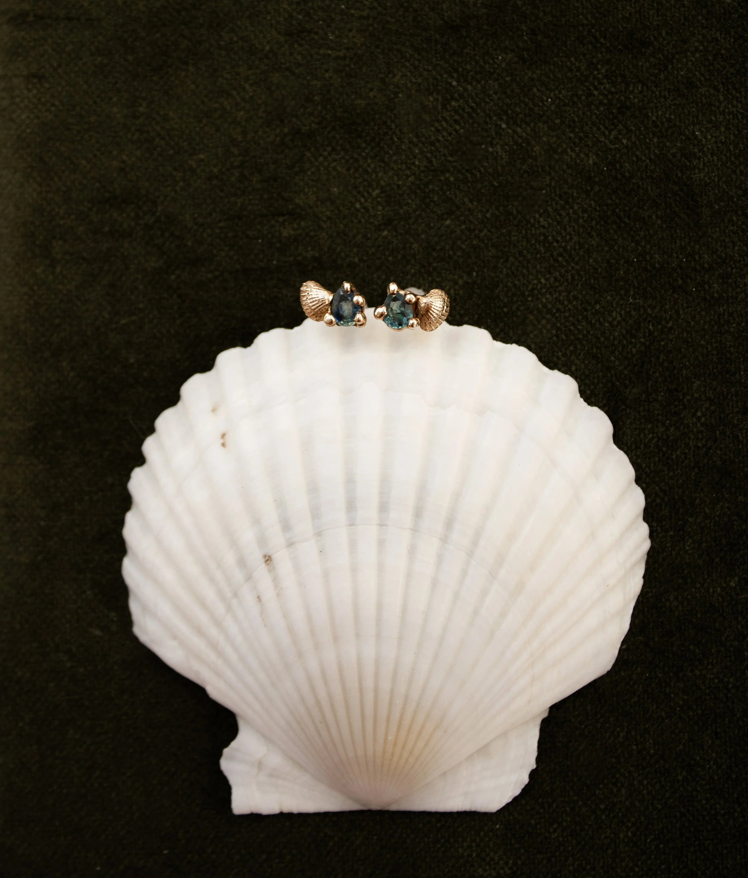 Sapphire Scallop Studs