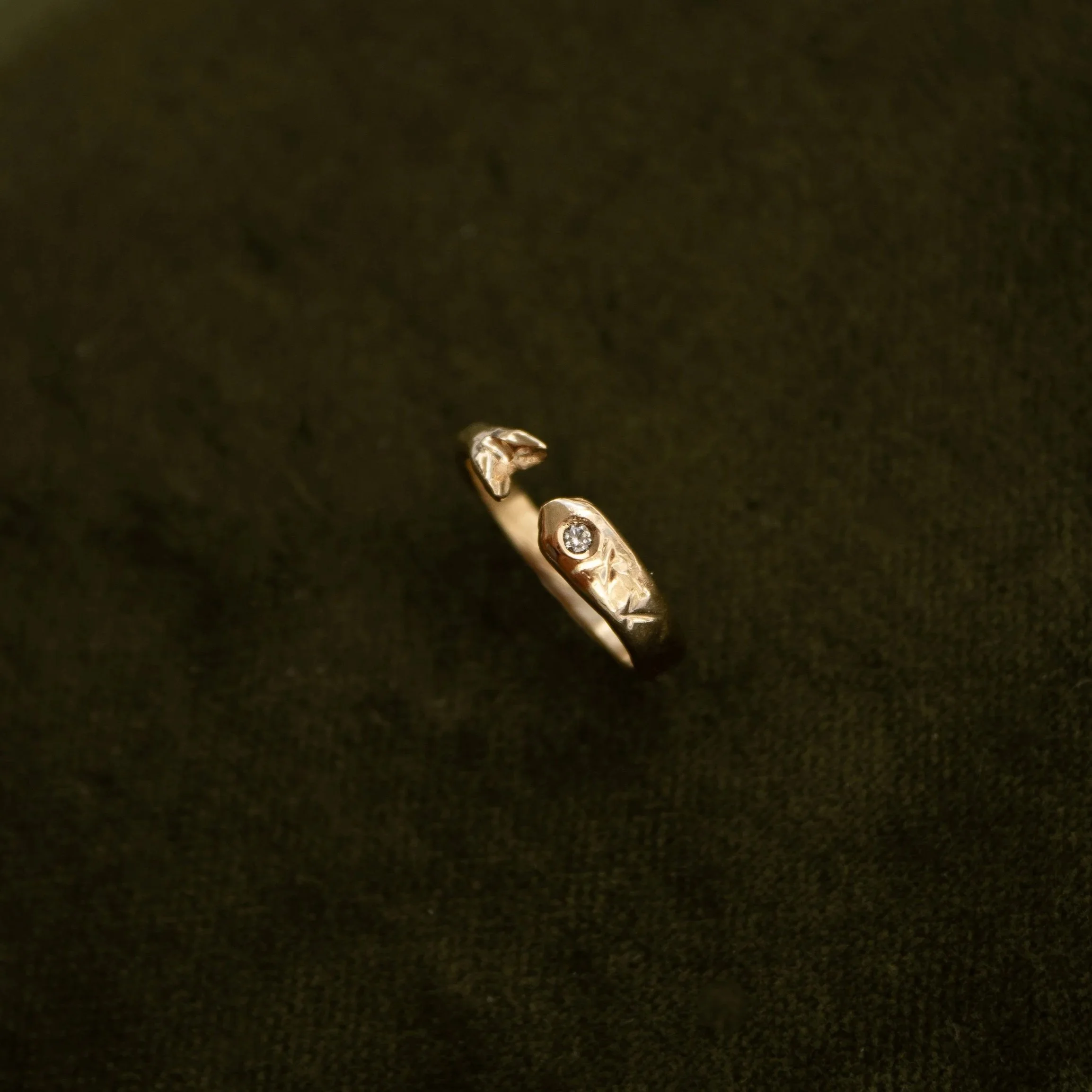 Fish Ring, #2