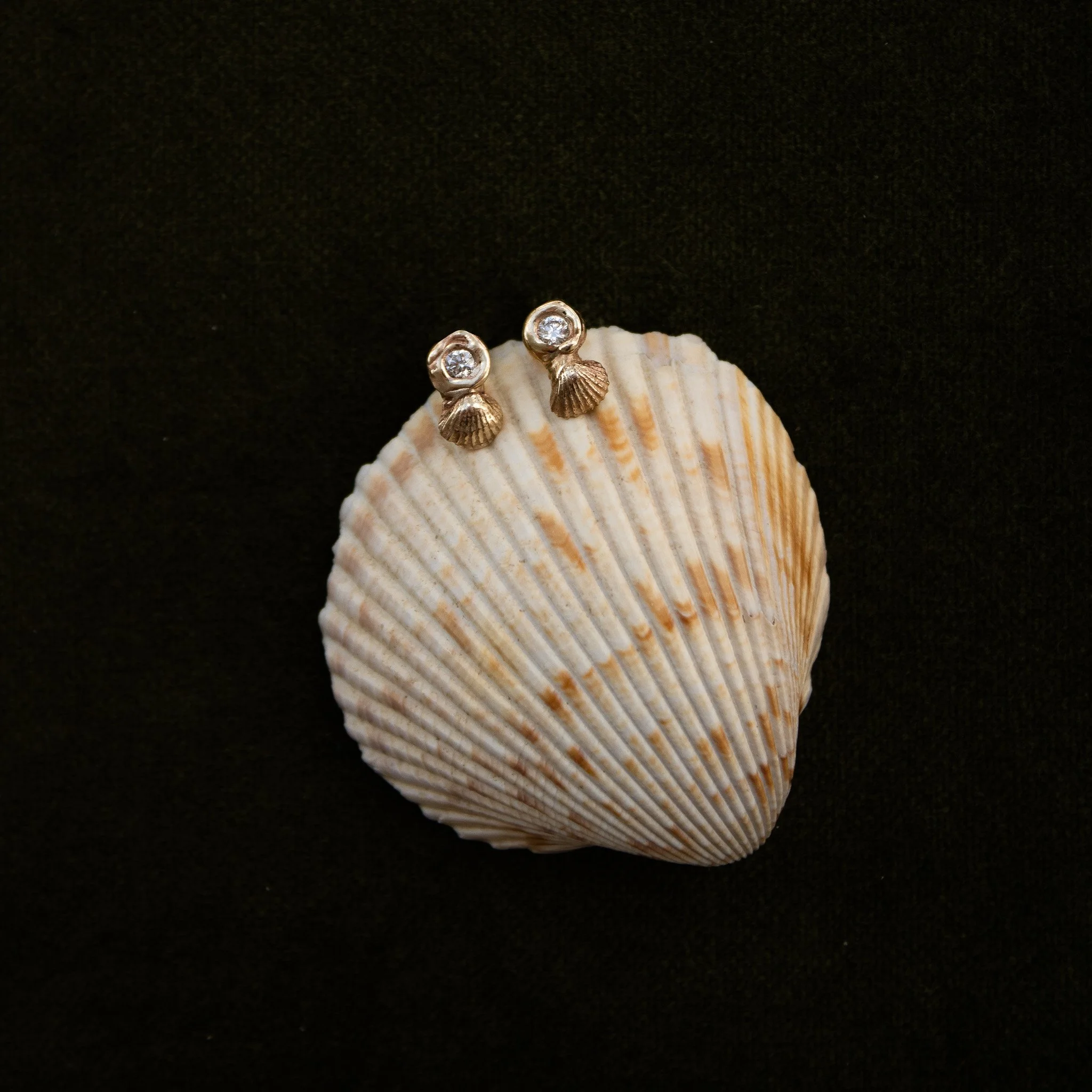 Scallop Studs