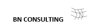 BN Consulting