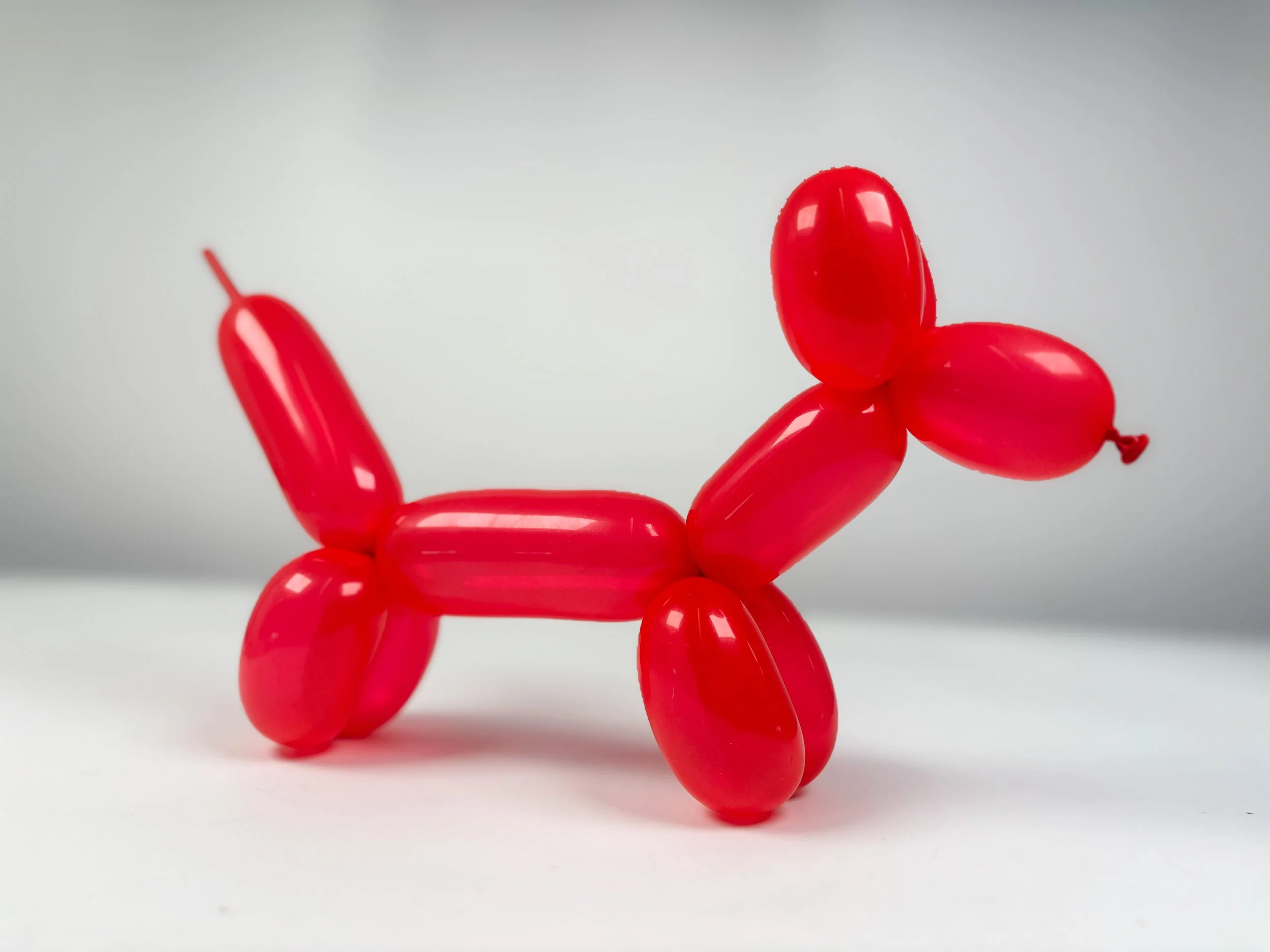 Balloon Dog Orthographic Shot