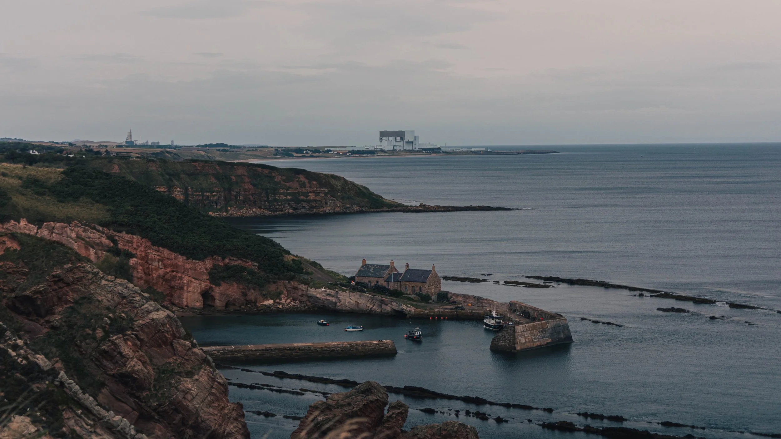 Cove Harbour