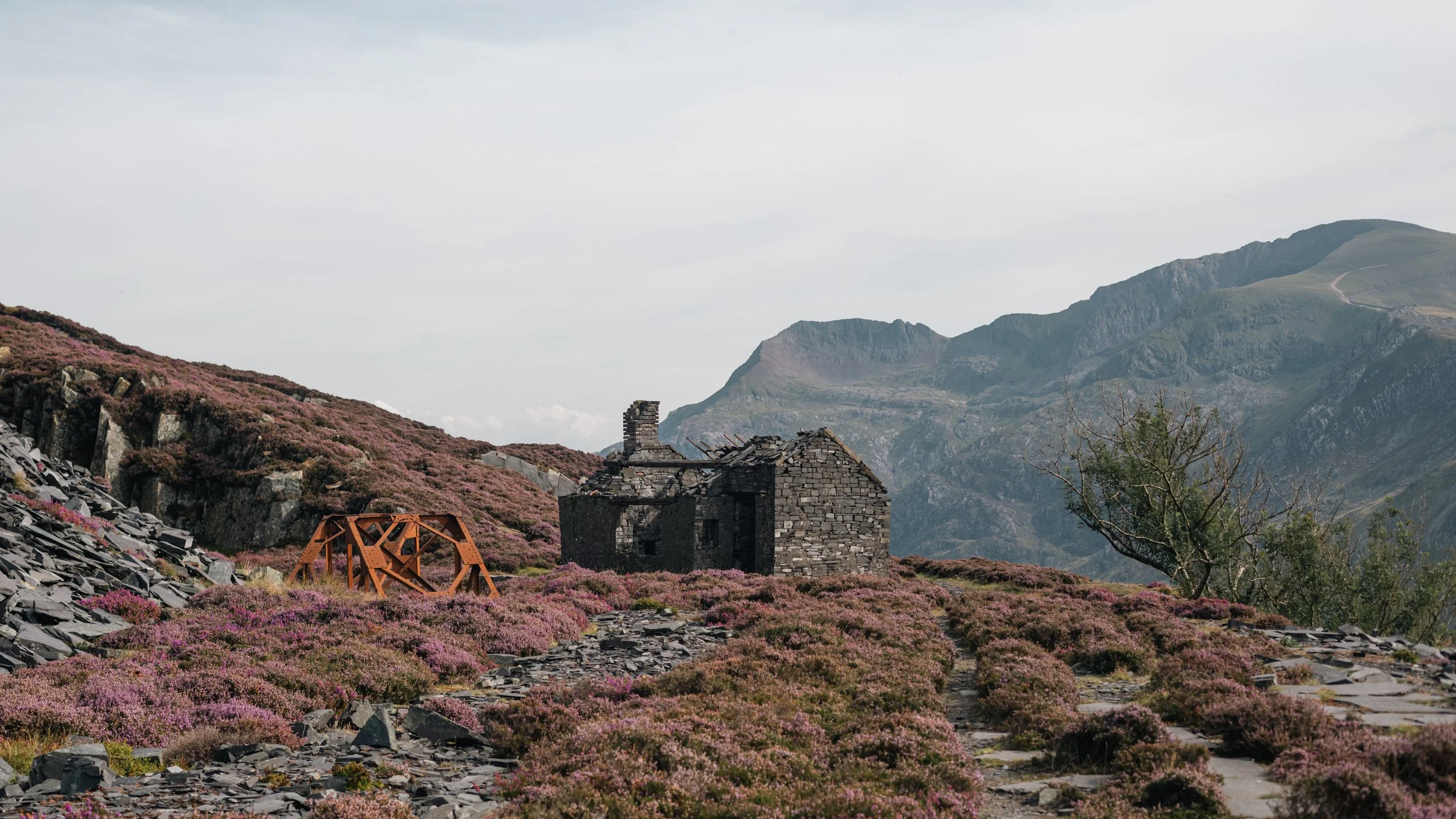 Old stone building with collapsed roof in a mountainous area surrounded by pink flowering bushes and a rusted orange wheel, with mountains in the background under a cloudy sky.