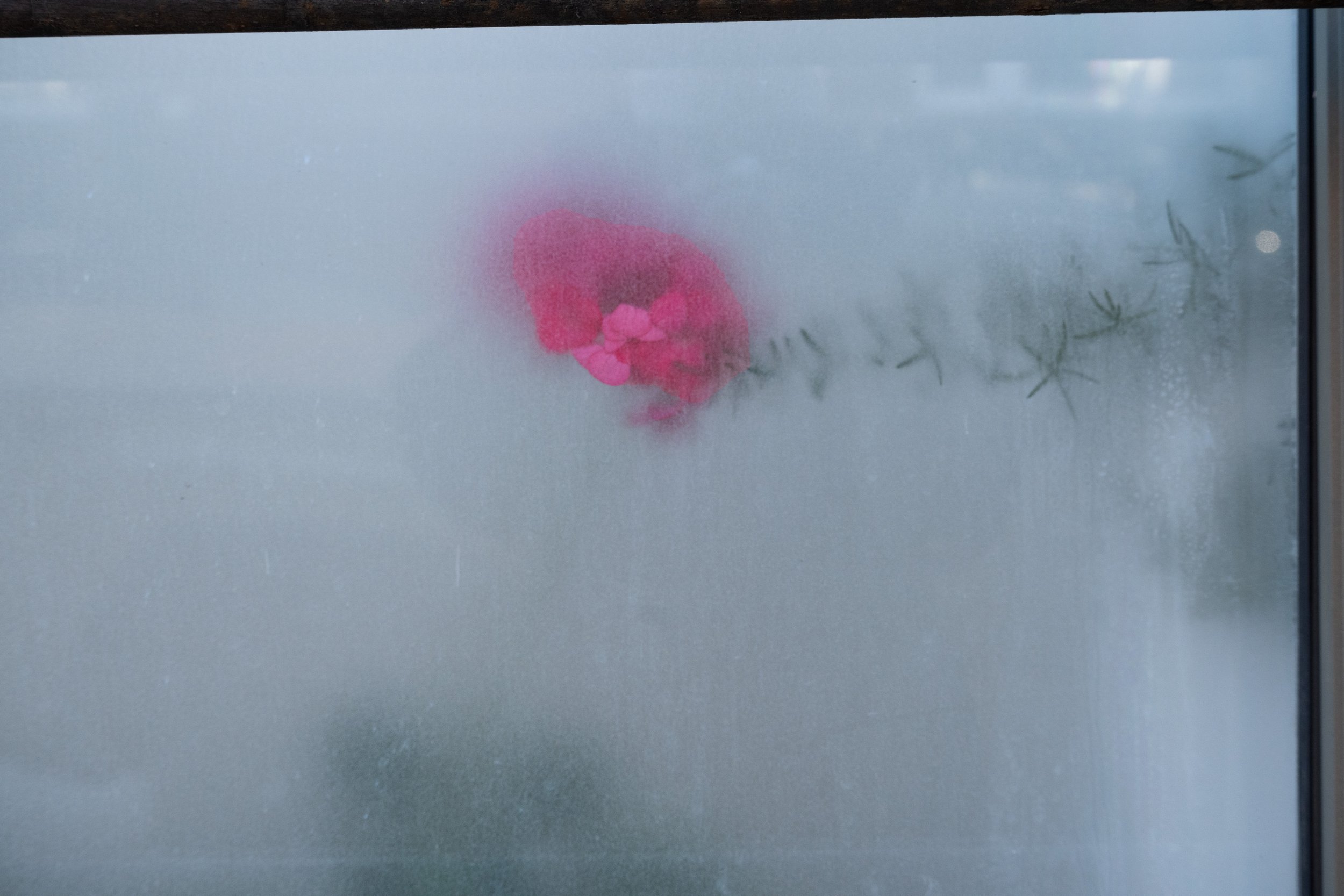 DSC_1484.jpg