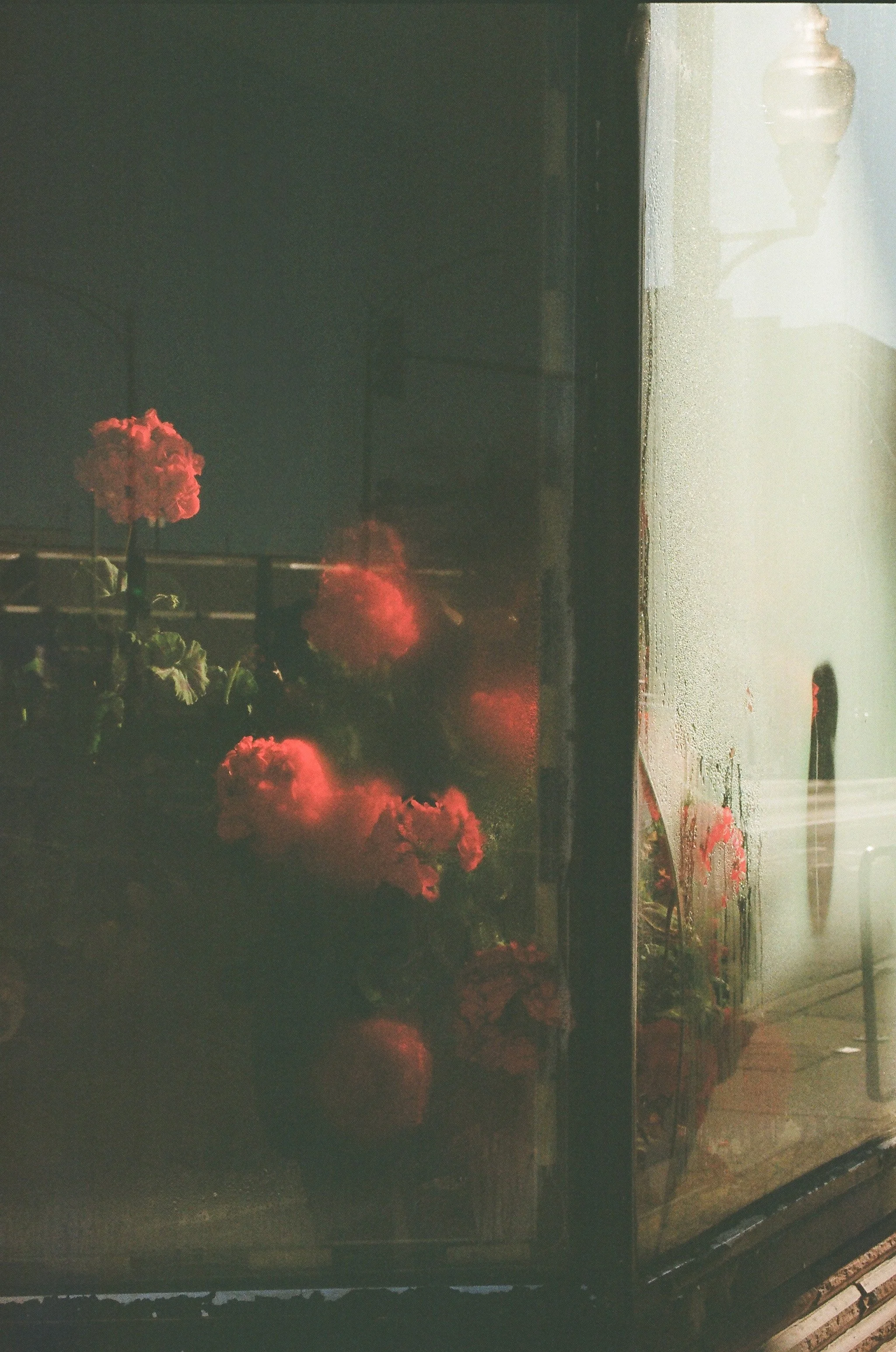 00010021 (1).jpg