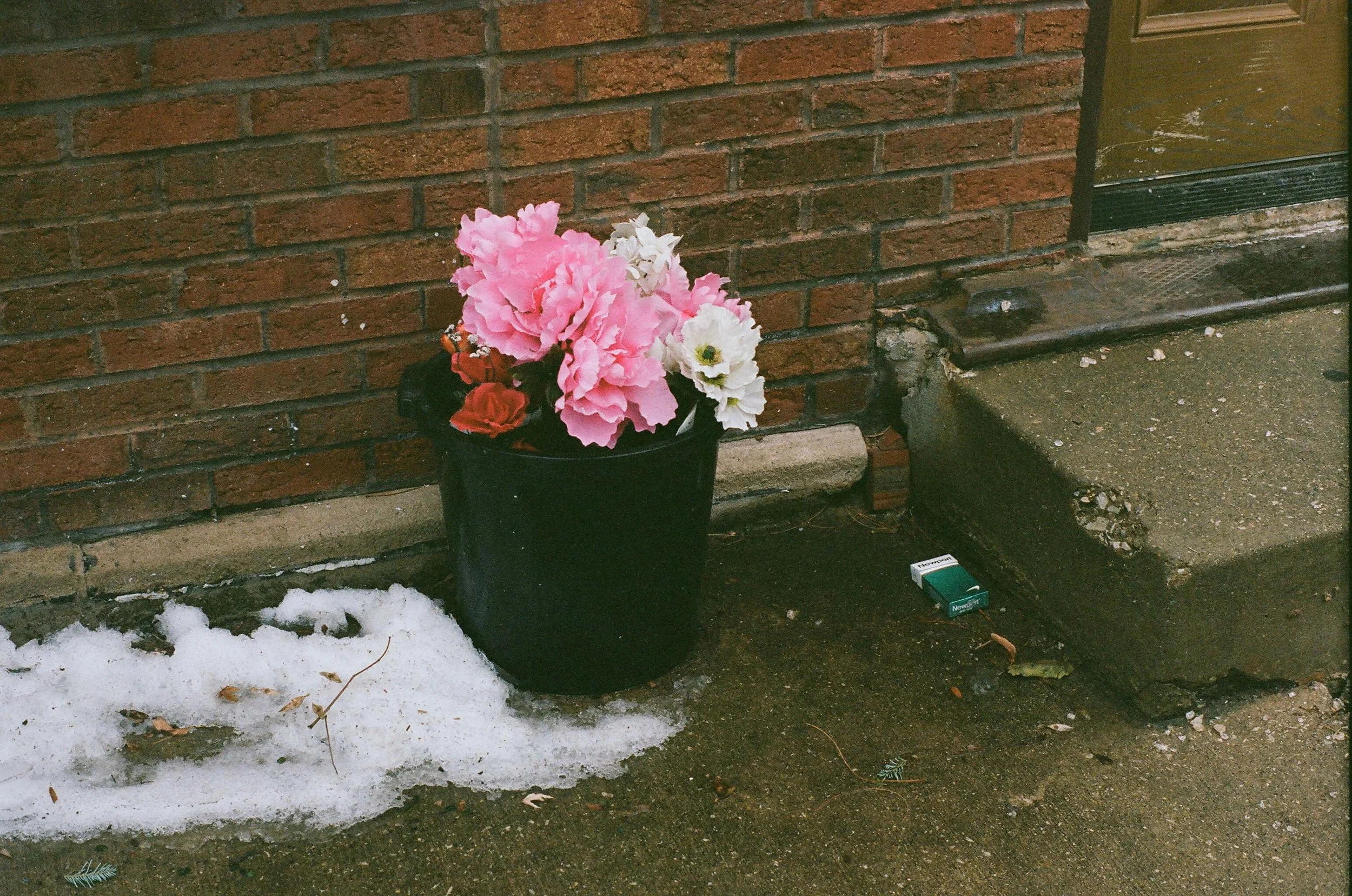 00320026.jpg
