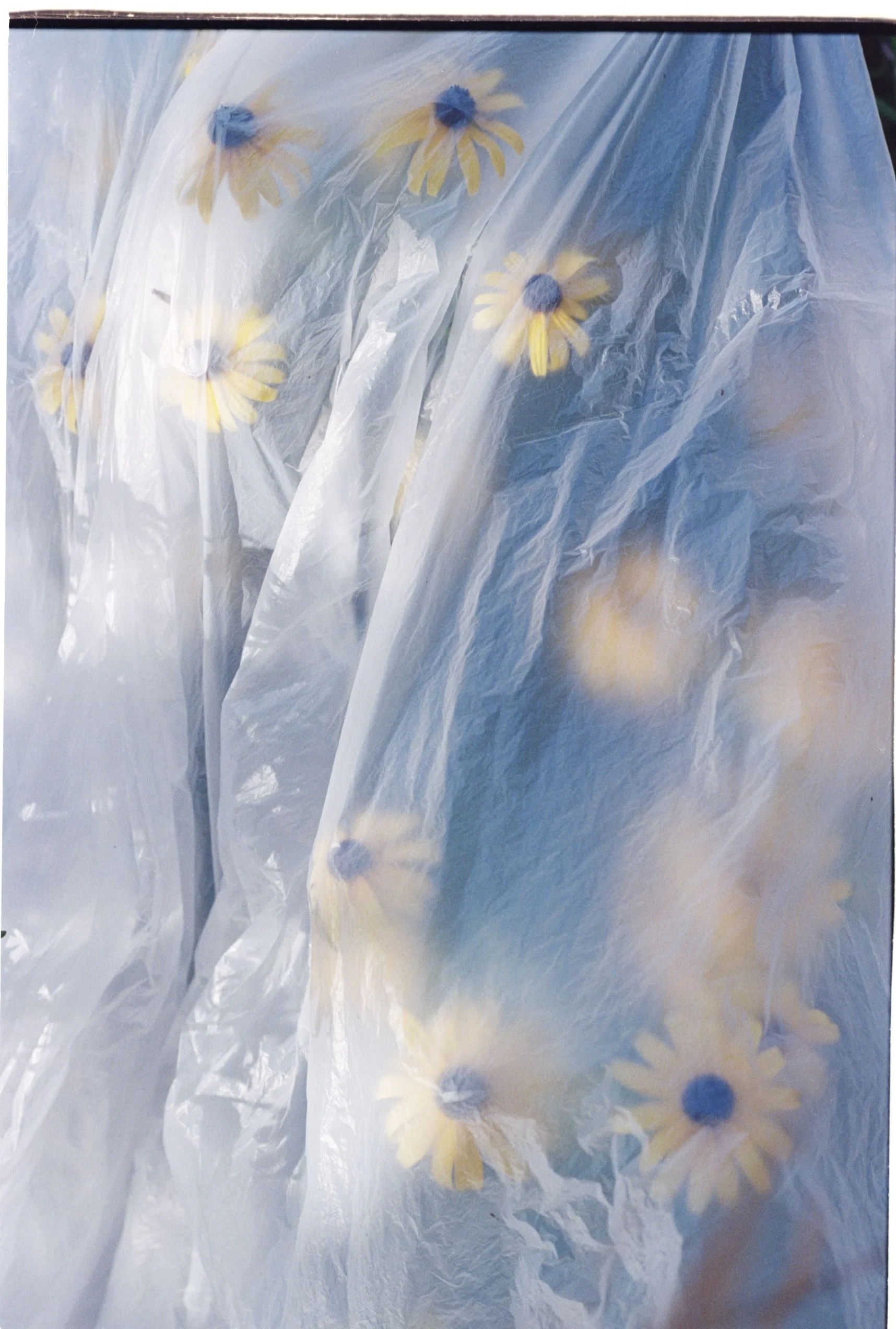 Untitled (25).jpg