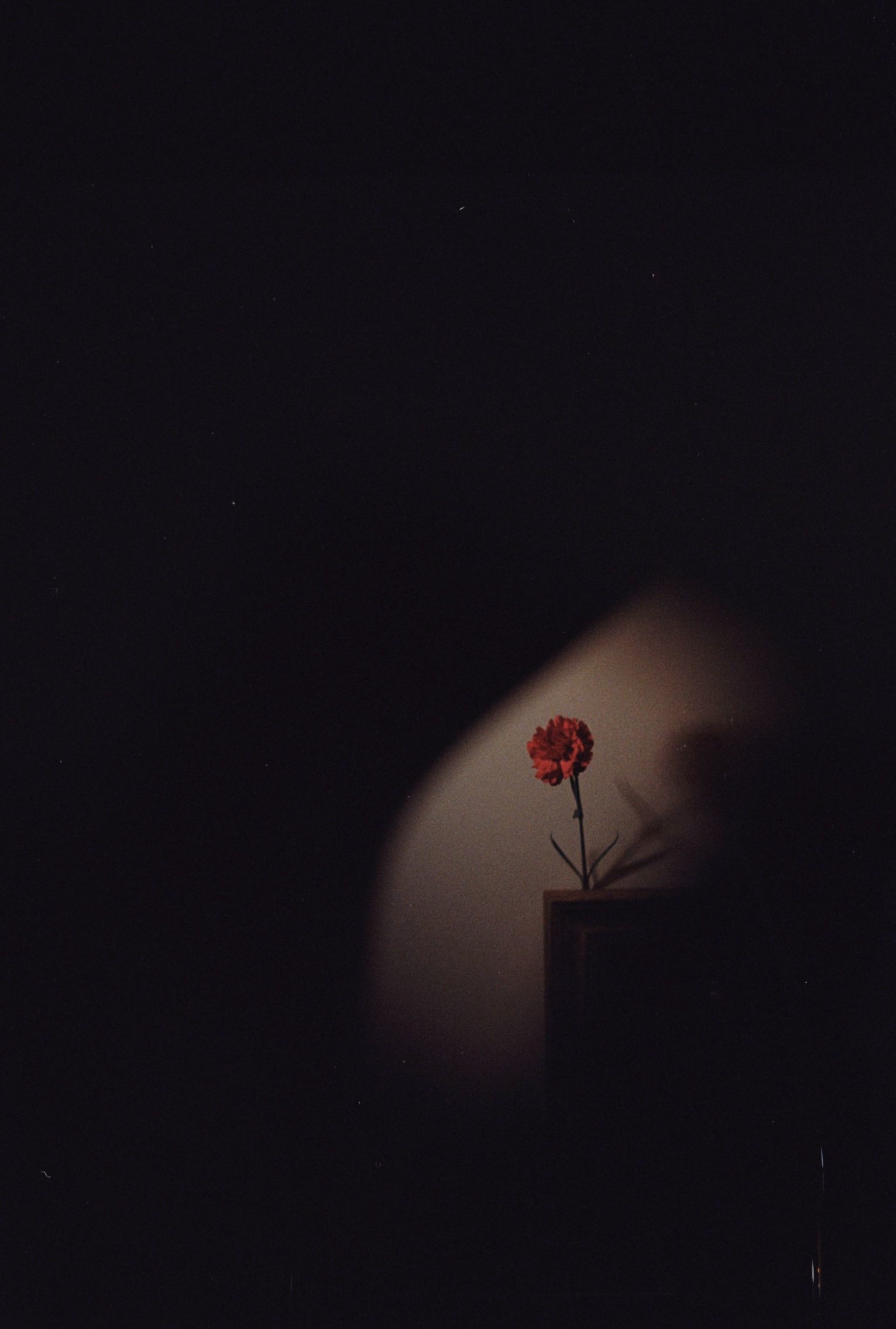 Untitled (10) 2.jpg