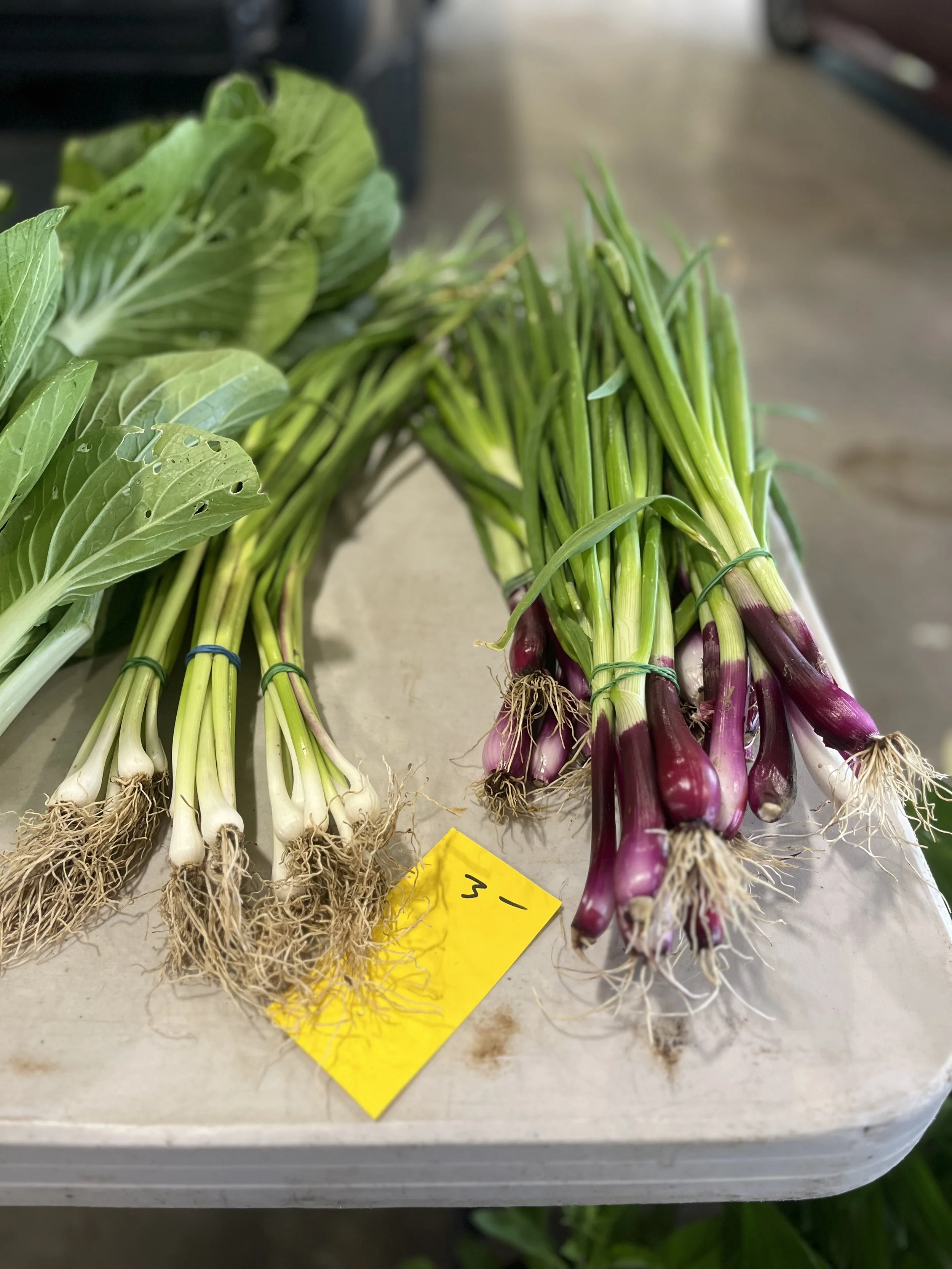 Close-up of fresh green spring onions with purple stems and roots, laid on a white surface, with a yellow note attached. These vegetables were purchased at the Skaneateles Farmer's Market.