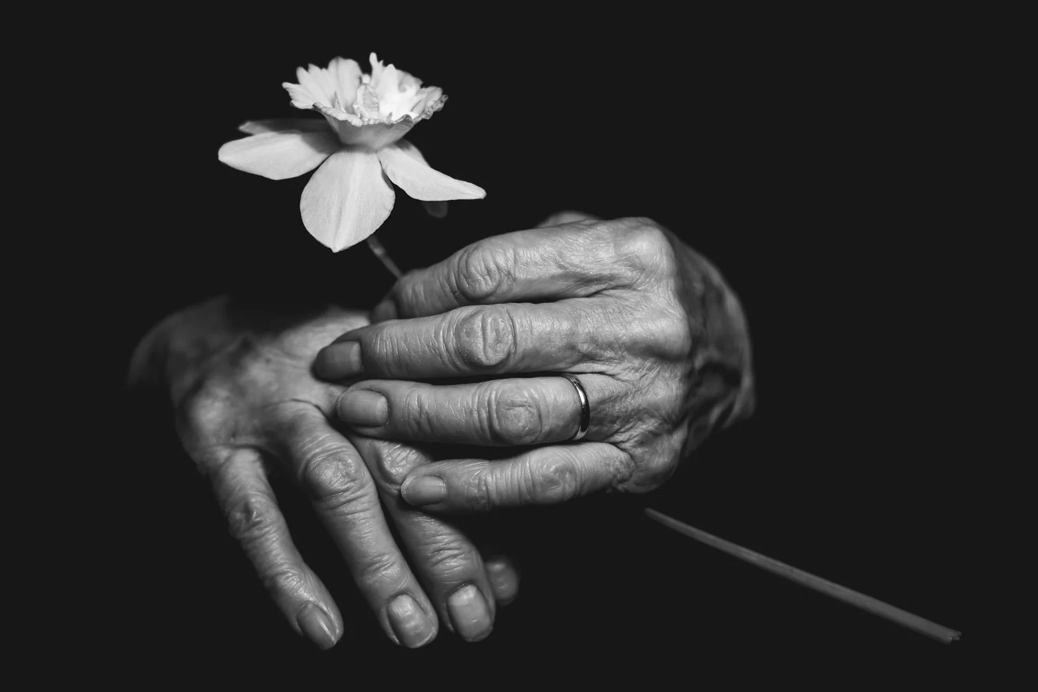 Grandmother’s Hands with Flower