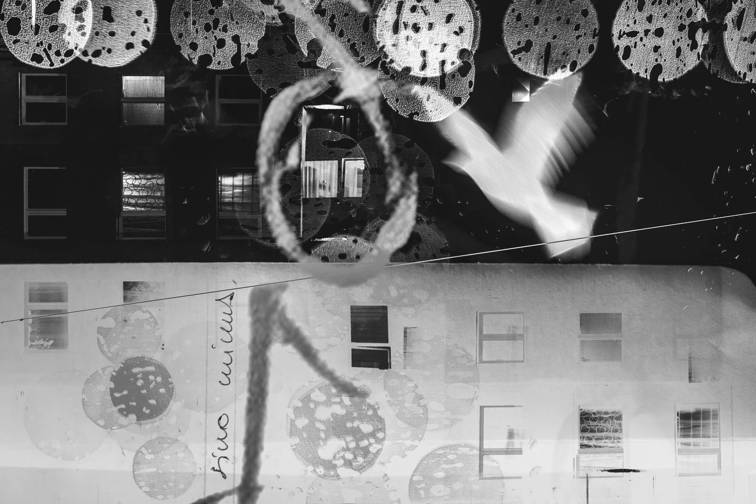 Valge lind – Experimental Photo Composite