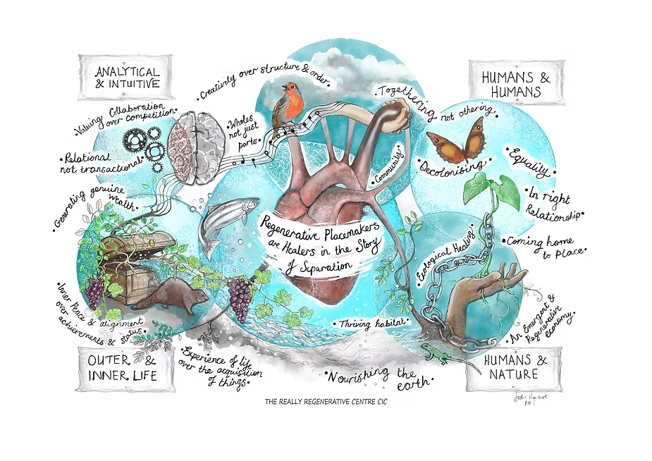 Regenerative Design: A Bioregion For Chichester