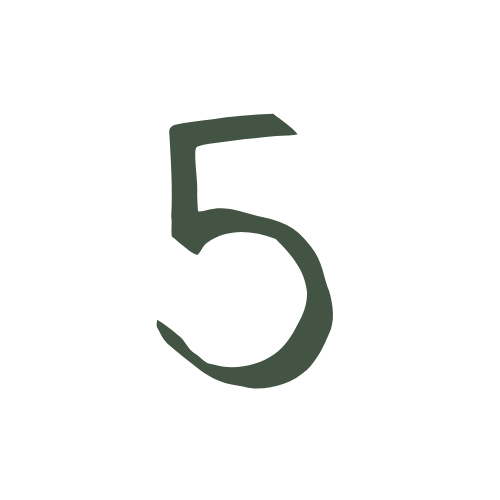 A black background with a large green number 5 in the center.
