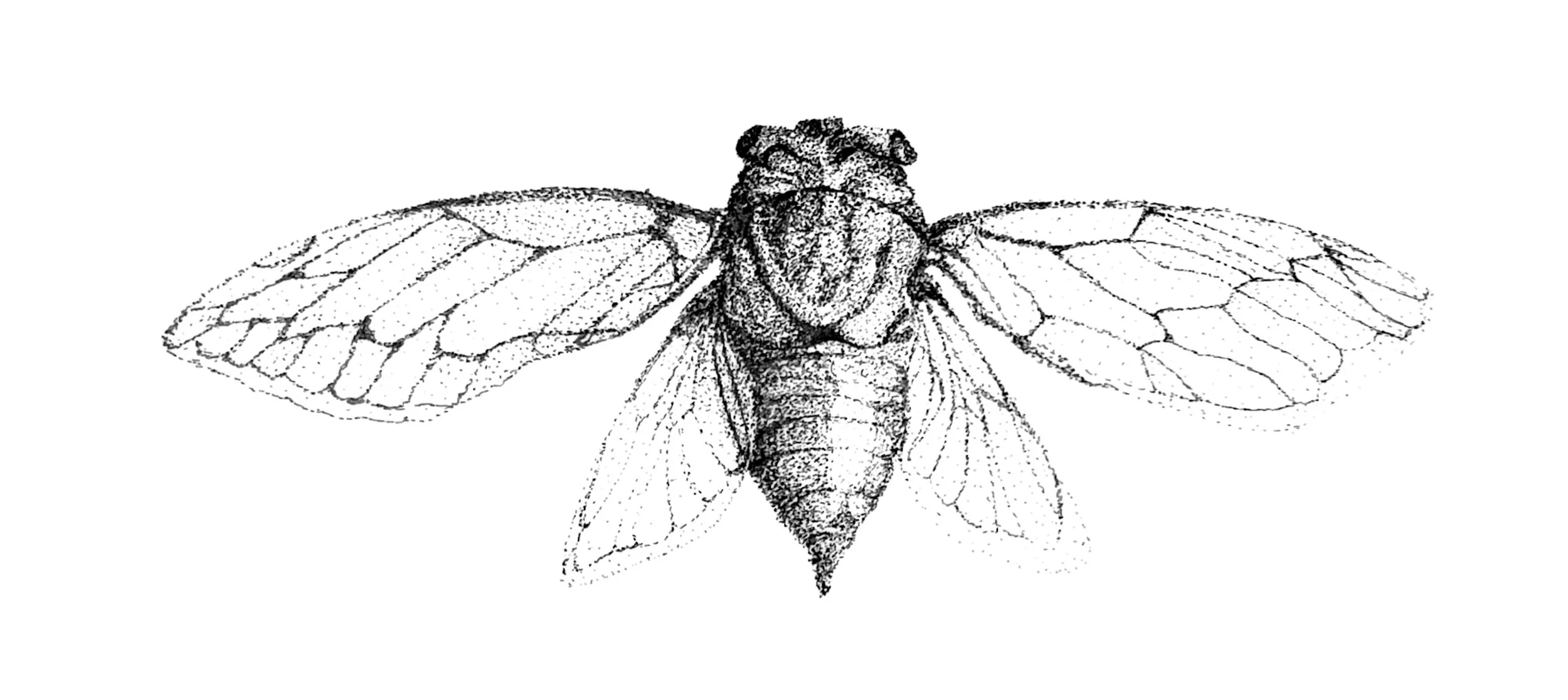 Scanned Documents 5.jpg
