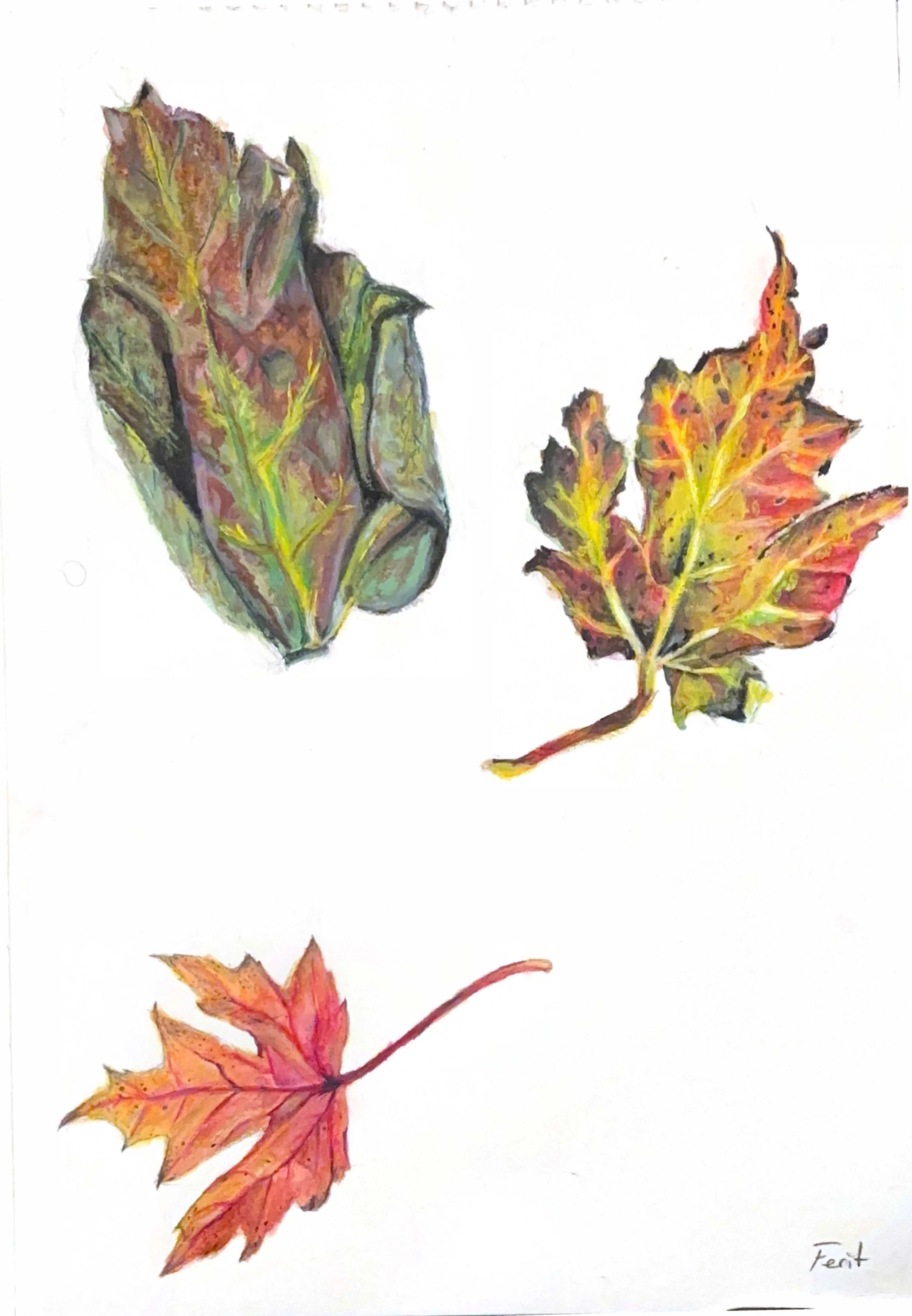 Scanned Documents 9.jpg