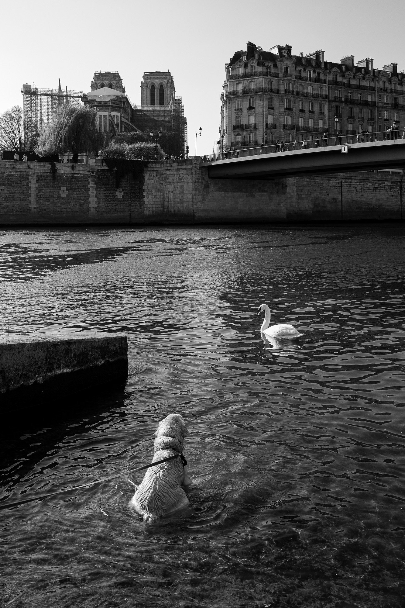 Rencontre — Paris, 2022 — Photographie urbaine Dibsquare