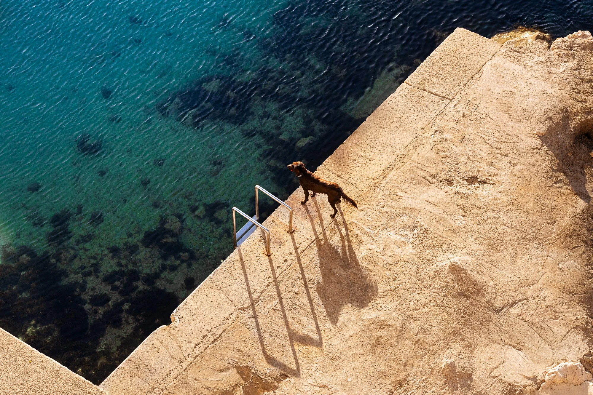 Attente — Marseille, 2026 — Photographie urbaine Dibsquare