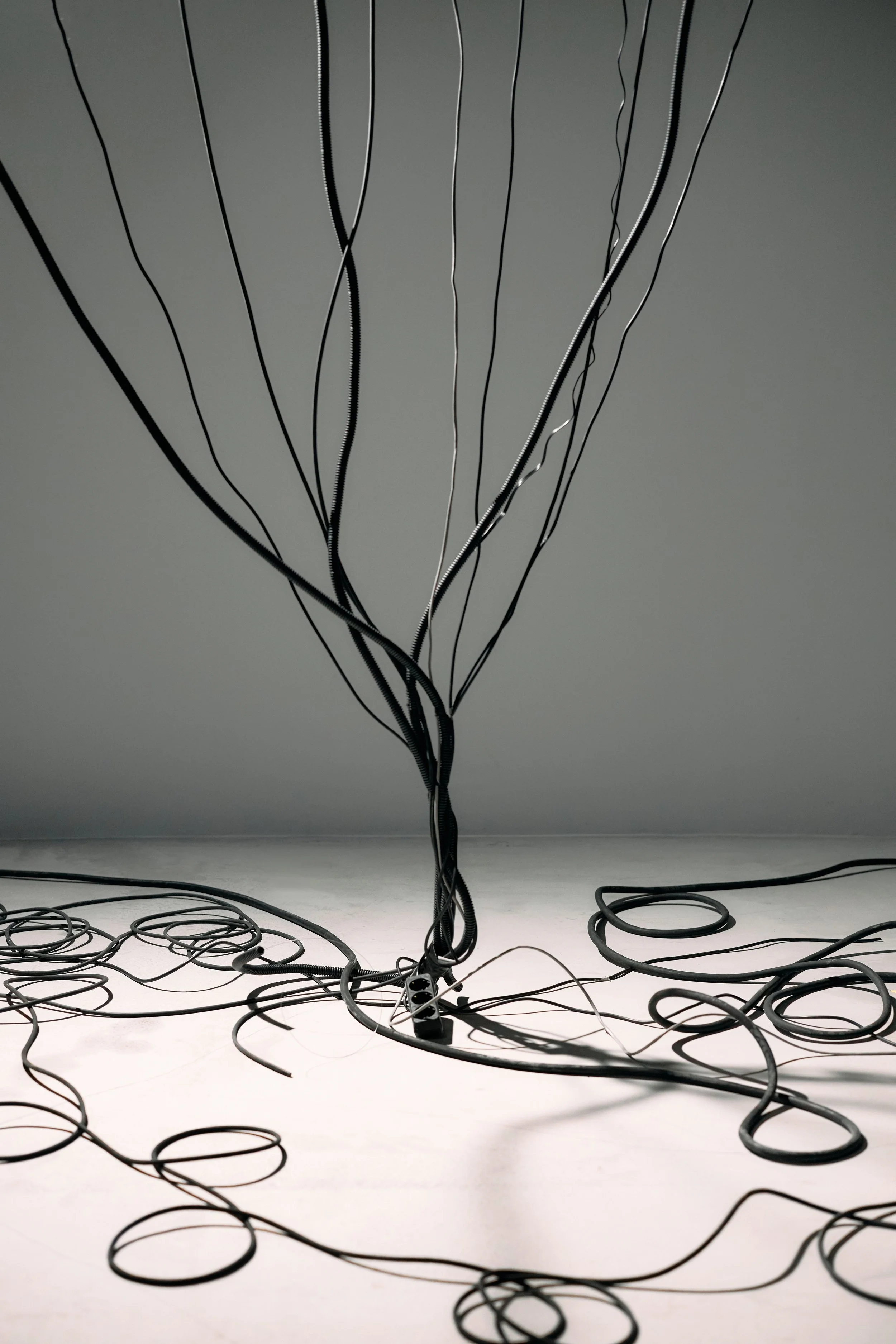 Art installation with black cables hanging from the ceiling and scattered on the floor in a gallery setting.