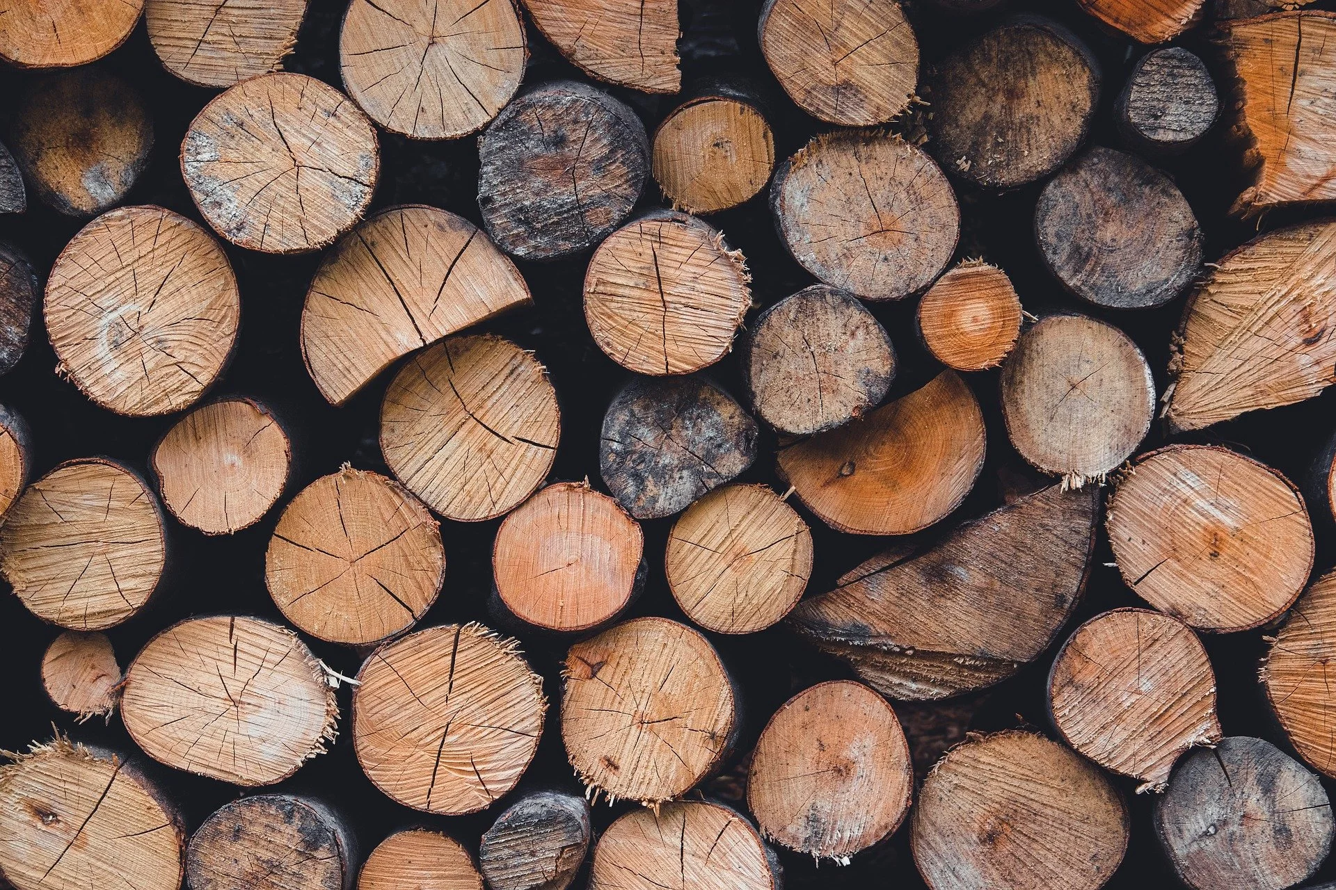 Stacked cut logs of wood, showing the fresh cut surfaces with visible growth rings and cracks.