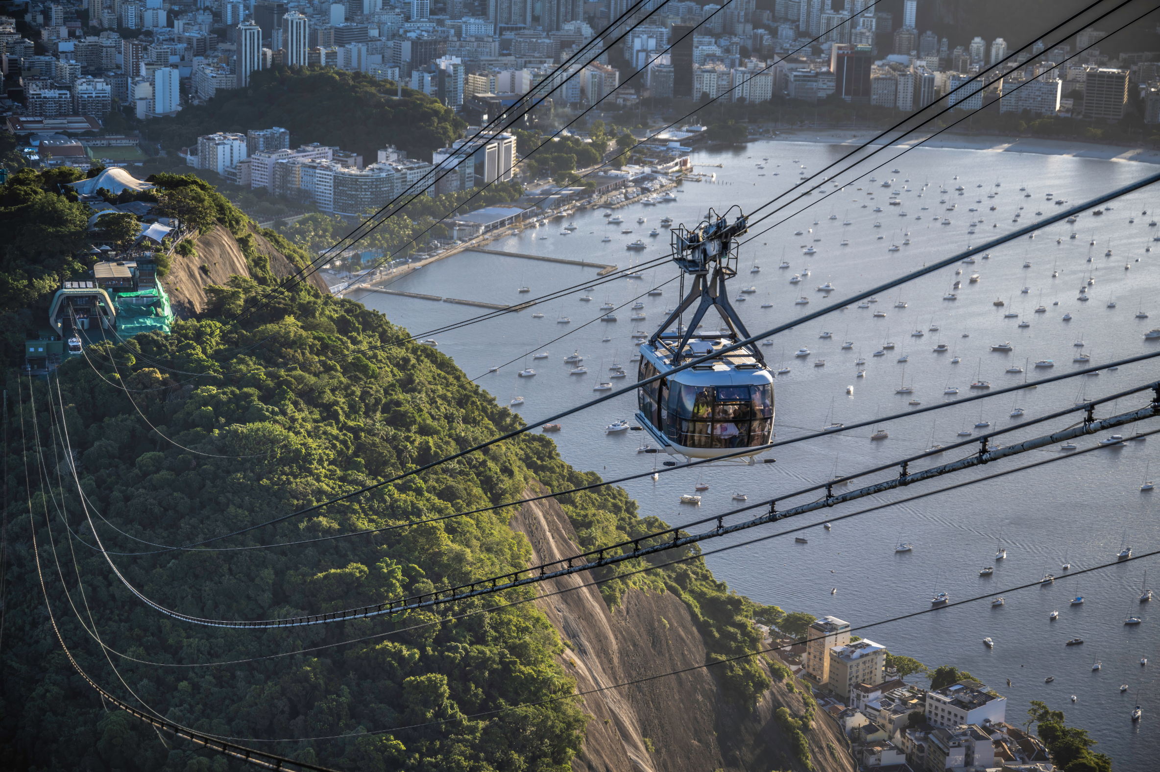 A city with tall buildings surrounding a harbor filled with boats, with a hillside and greenery in the foreground, and a cable car moving across the scene.