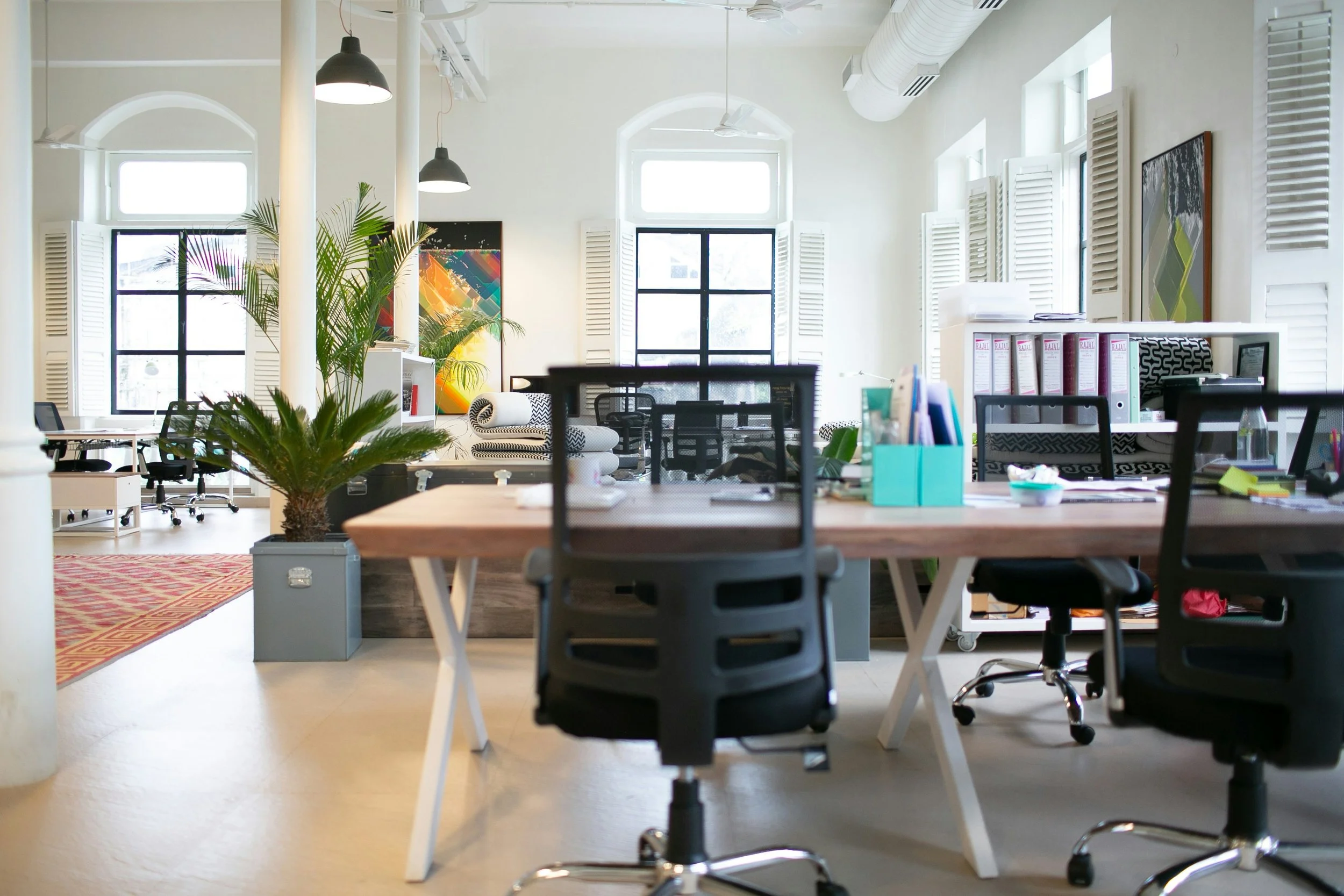 Bright and modern open-plan office space with large windows, plants, and various desks and chairs.