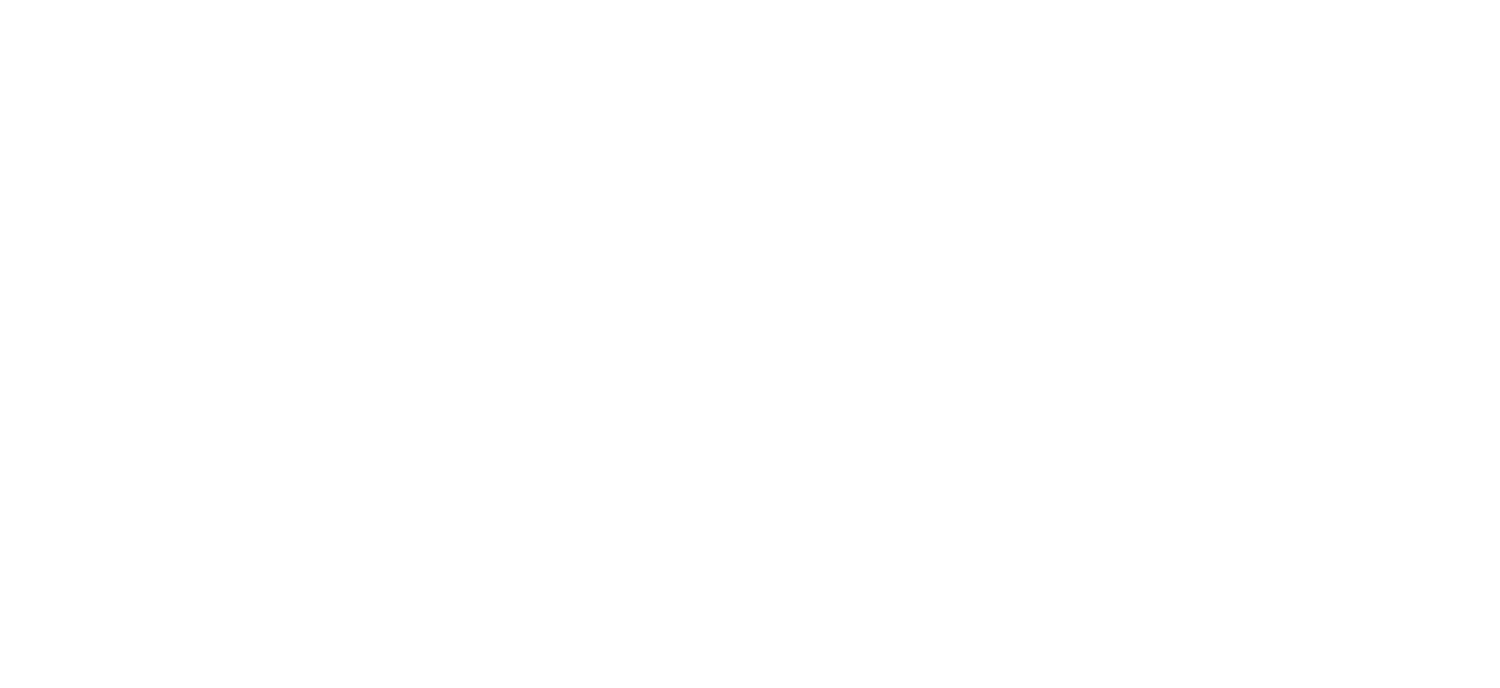 Strategic China Policy Group