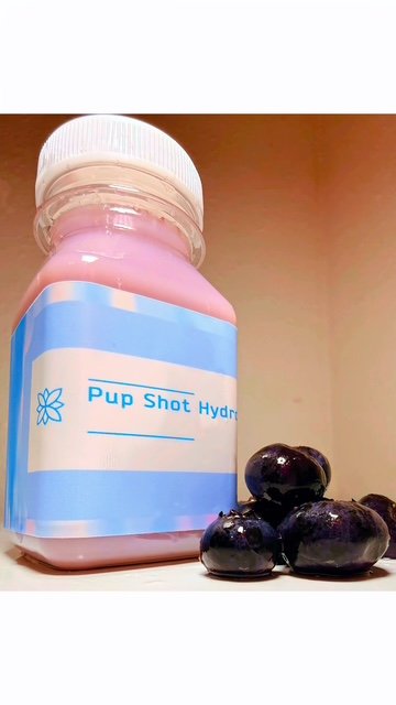 Boxer Blueberry