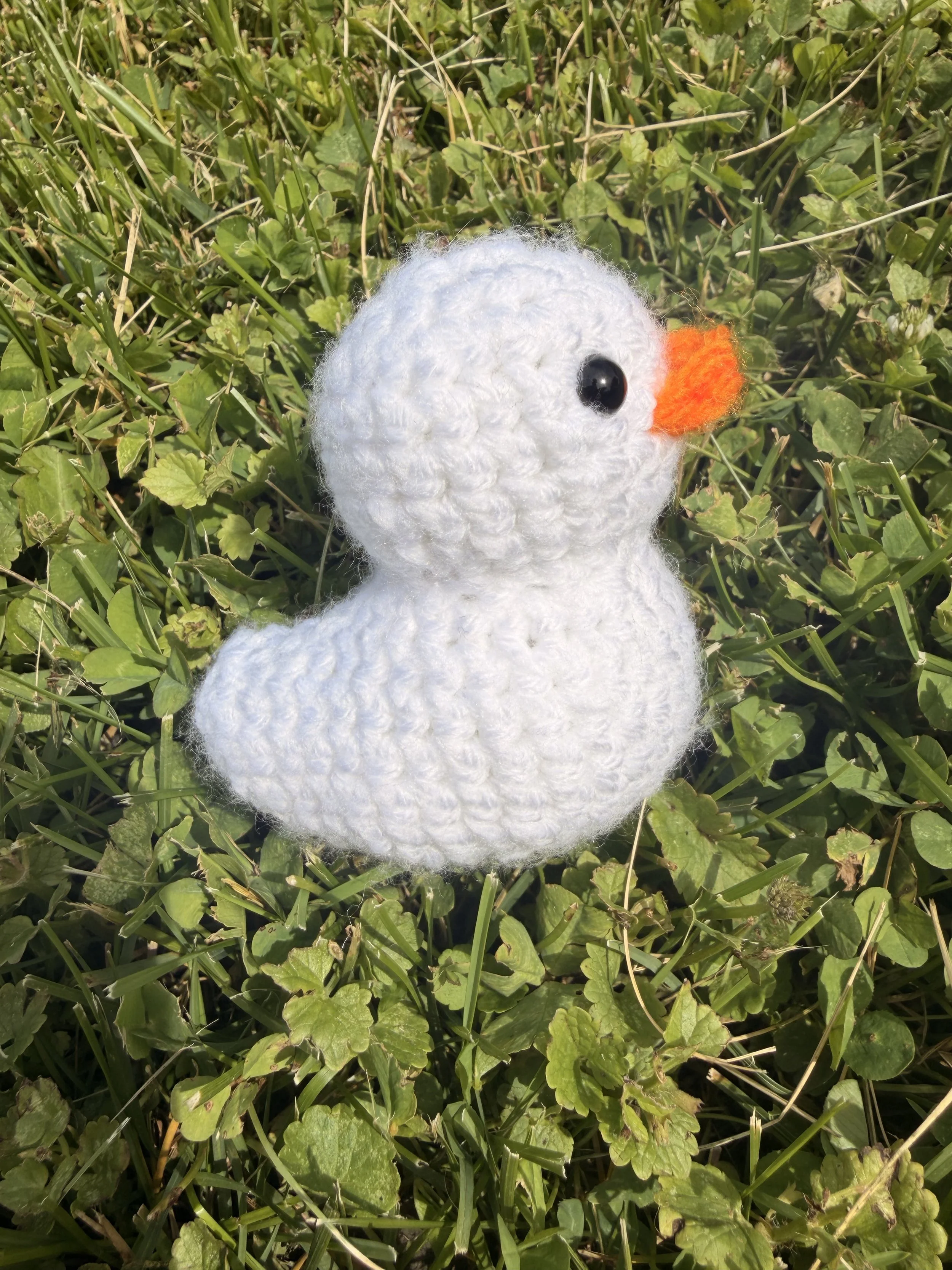 Mini Duckies
