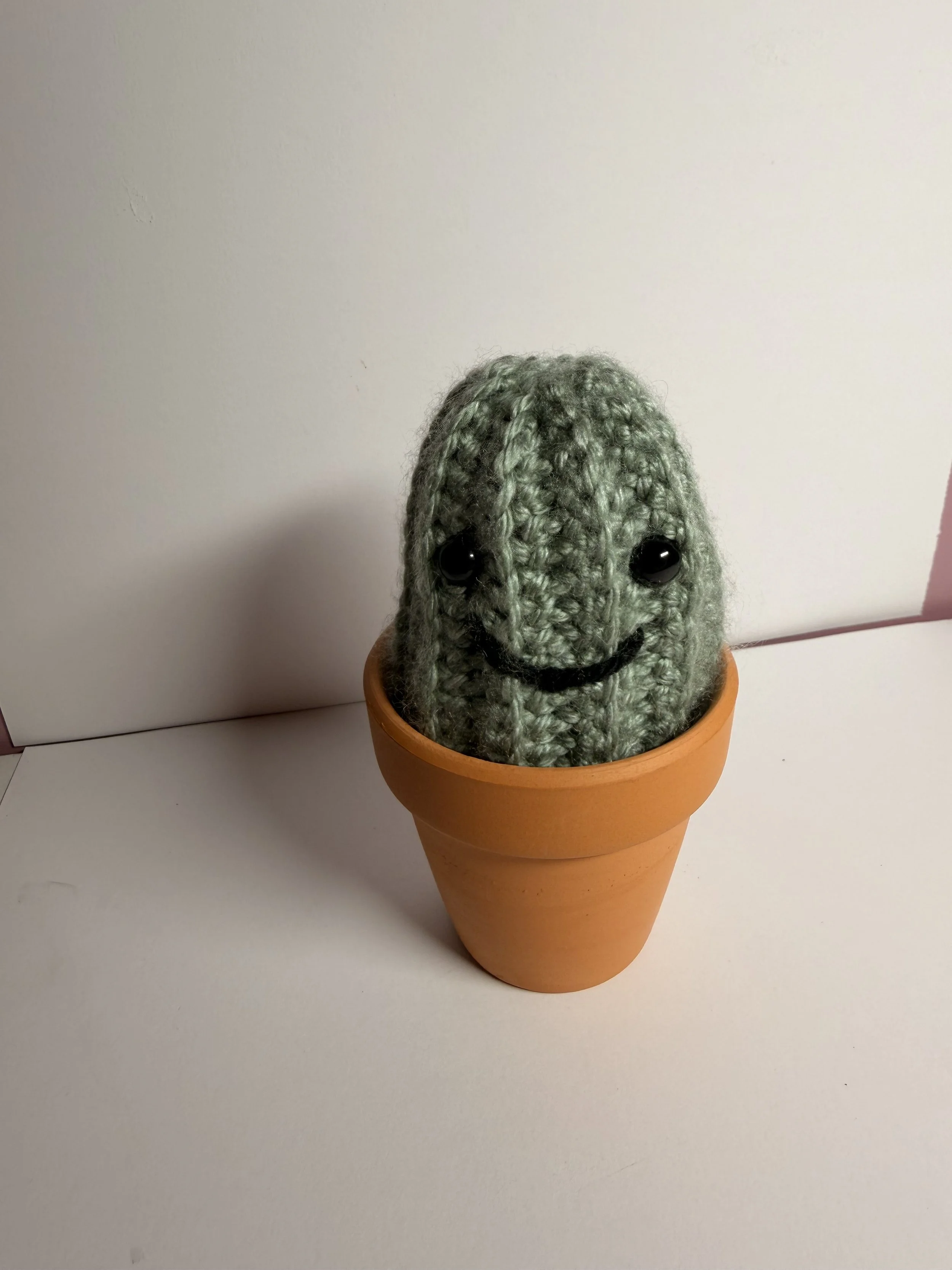 IMG_1802.jpeg